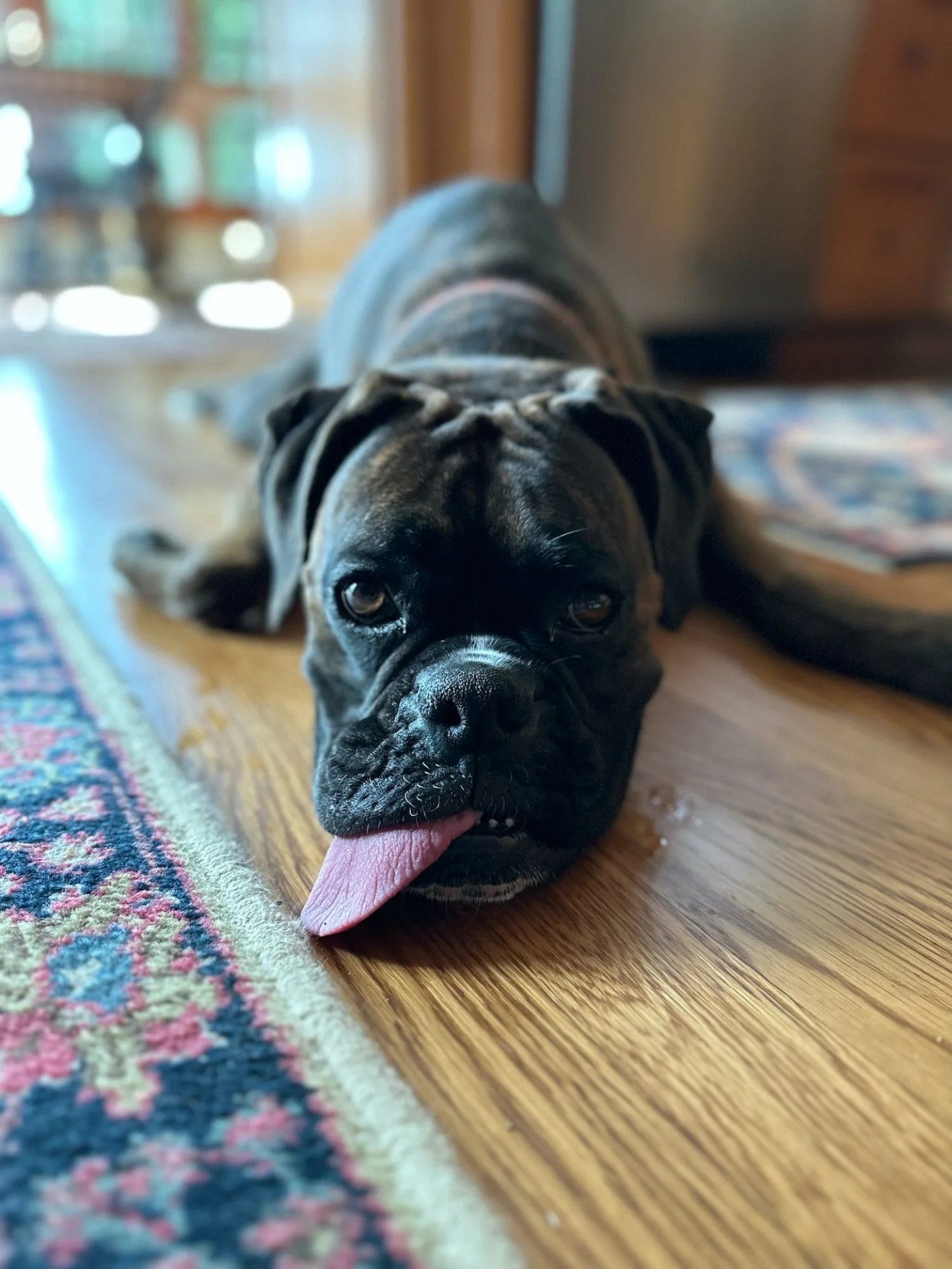 shot on iphone 14 pro max