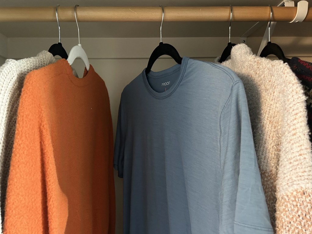 tshirt hanging in closet between sweaters