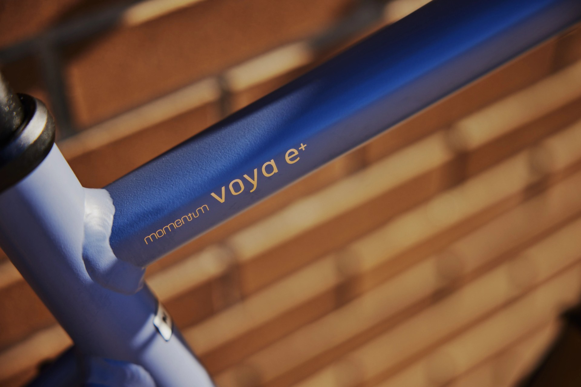 woman with momentum voya bike