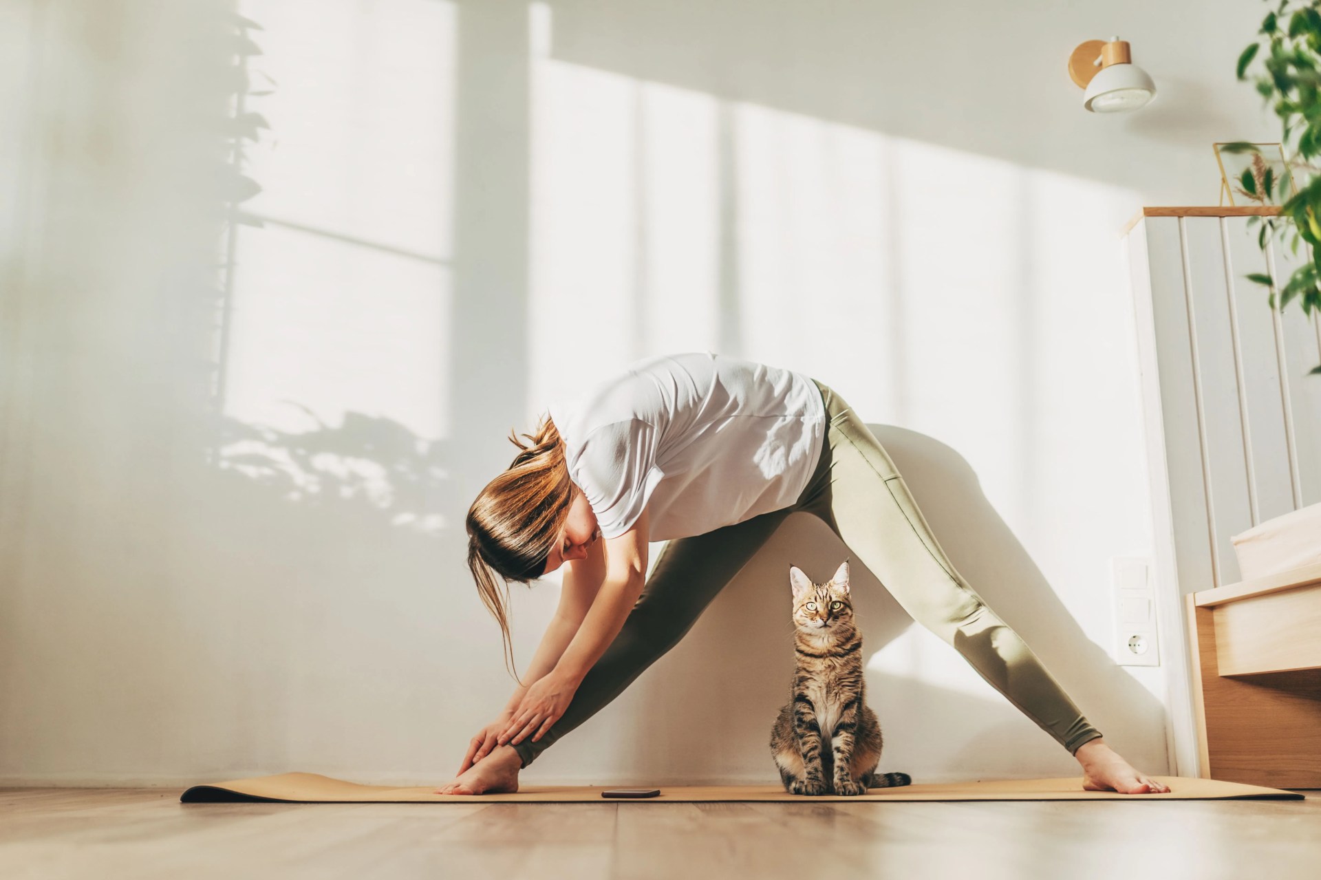 young attractive smiling woman practicing yoga, stretching in scorpion exercise, variation of vrischikasana pose, working out, wearing sportswear, grey pants, bra, indoor full length, home interior