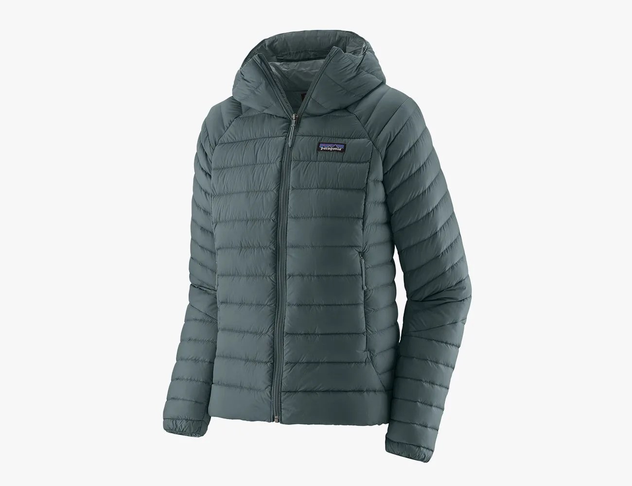 patagonia down sweater hoody