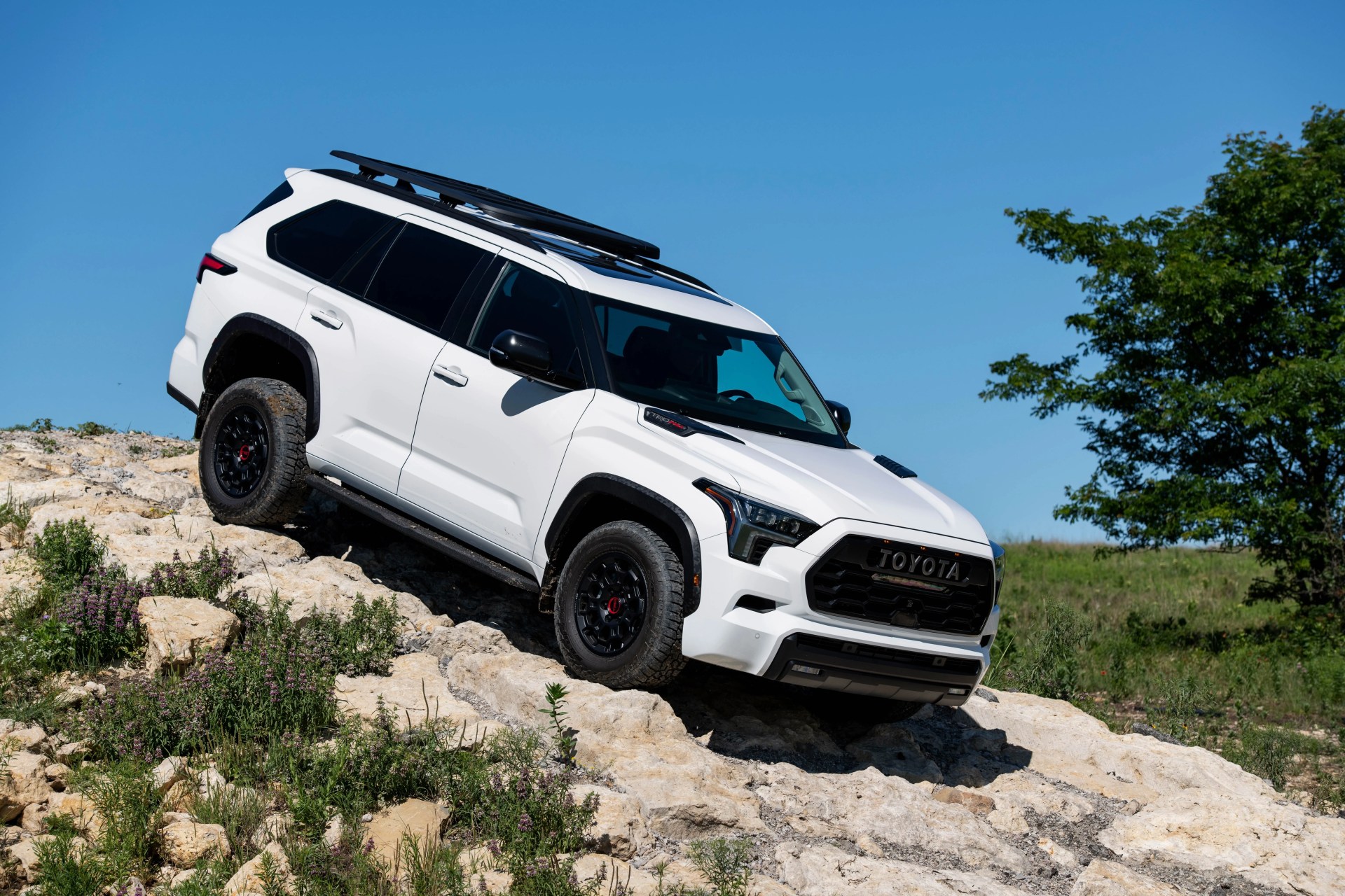 2023 white toyota sequoia offroading