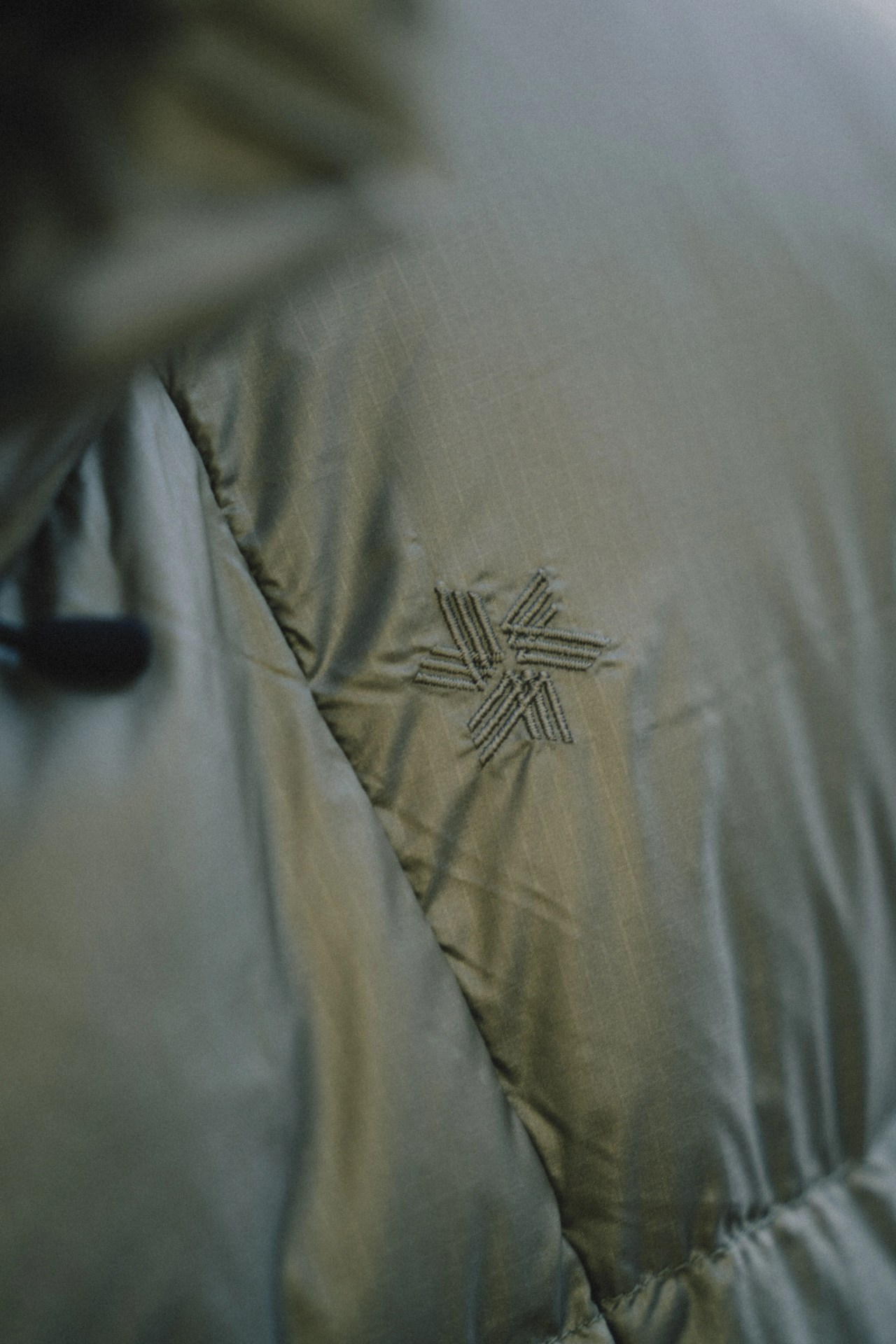 a goldwin parka