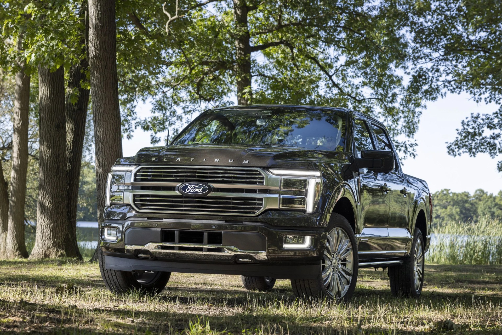 ford f150 powerboost parked in the woods