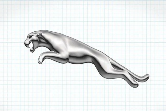 jaguar cat logo on a background
