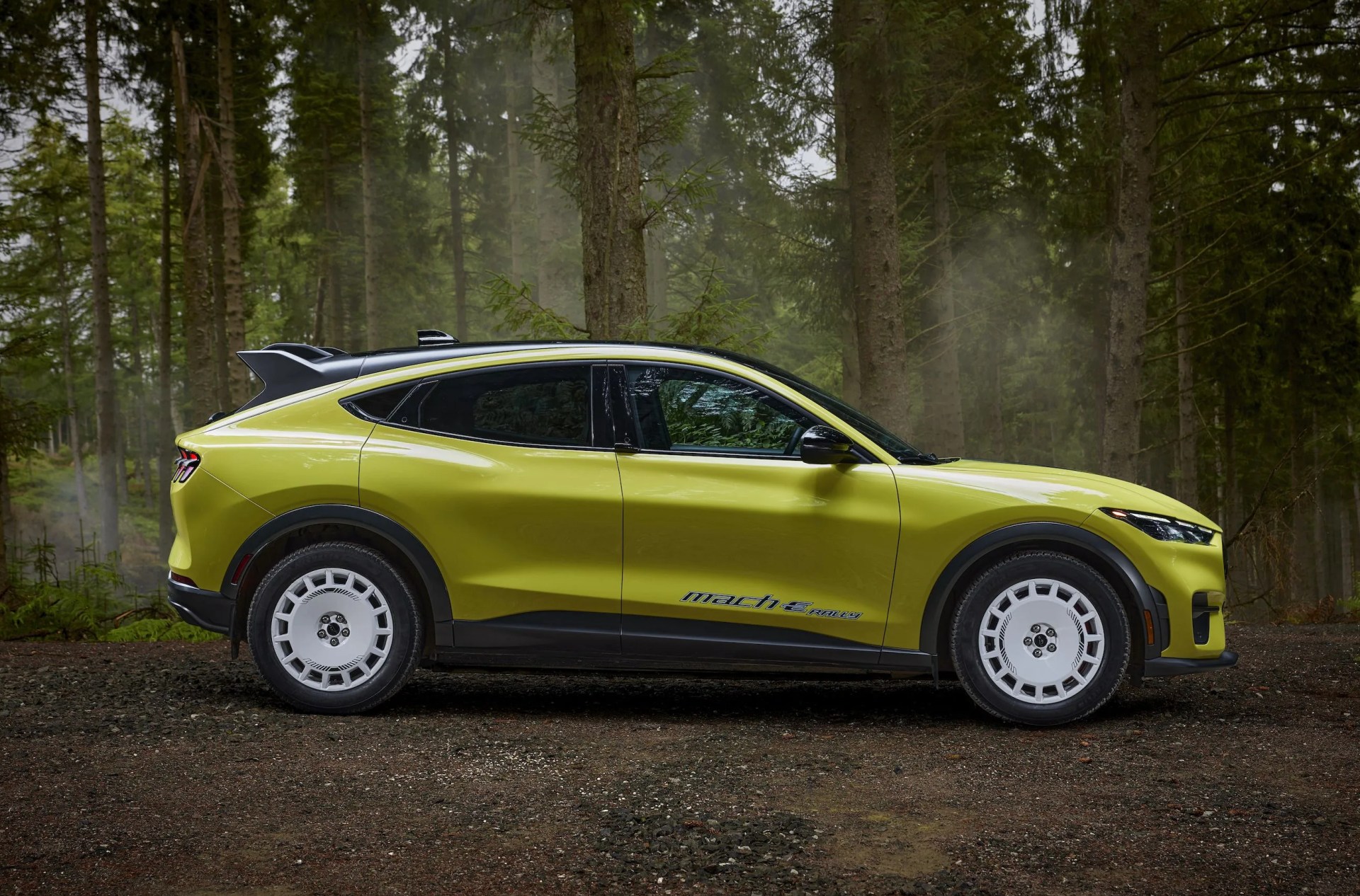 ford mustang mach e rally