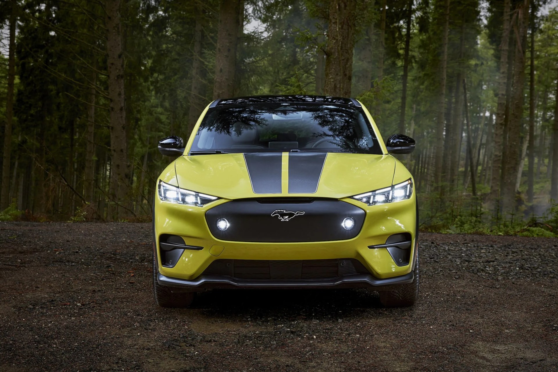 ford mustang mach e rally