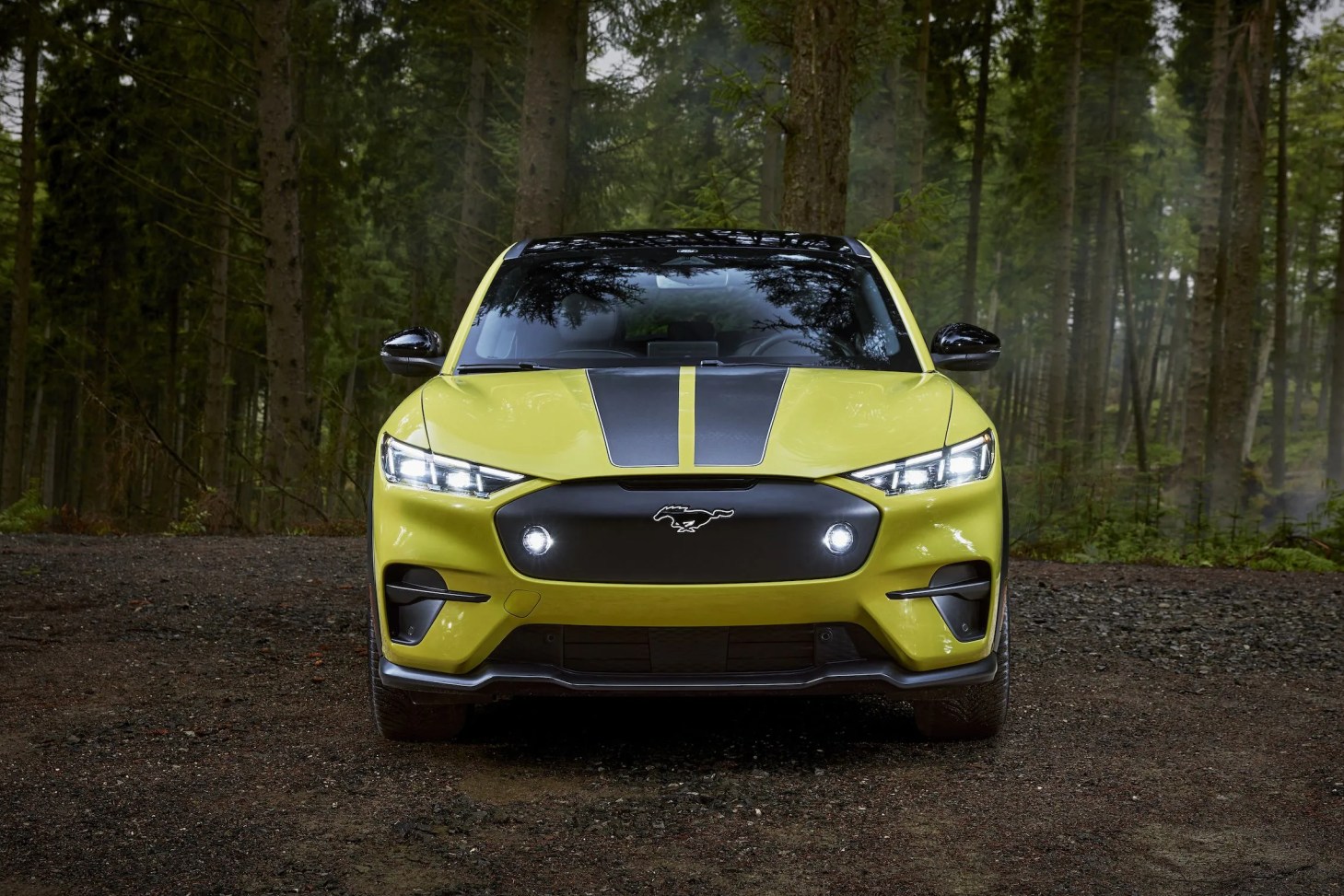 ford mustang mach e rally