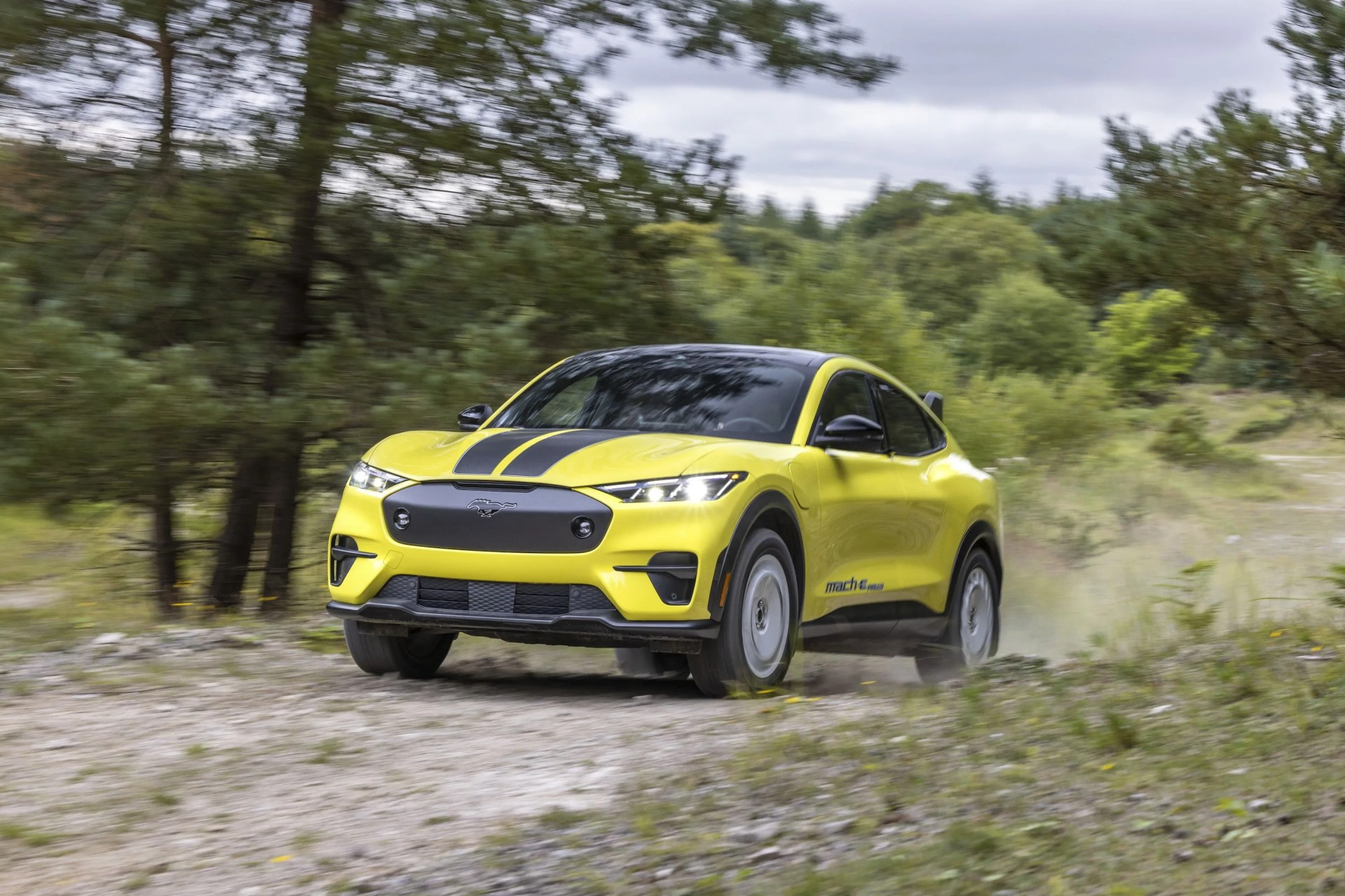 ford mustang mach e rally on dirt road