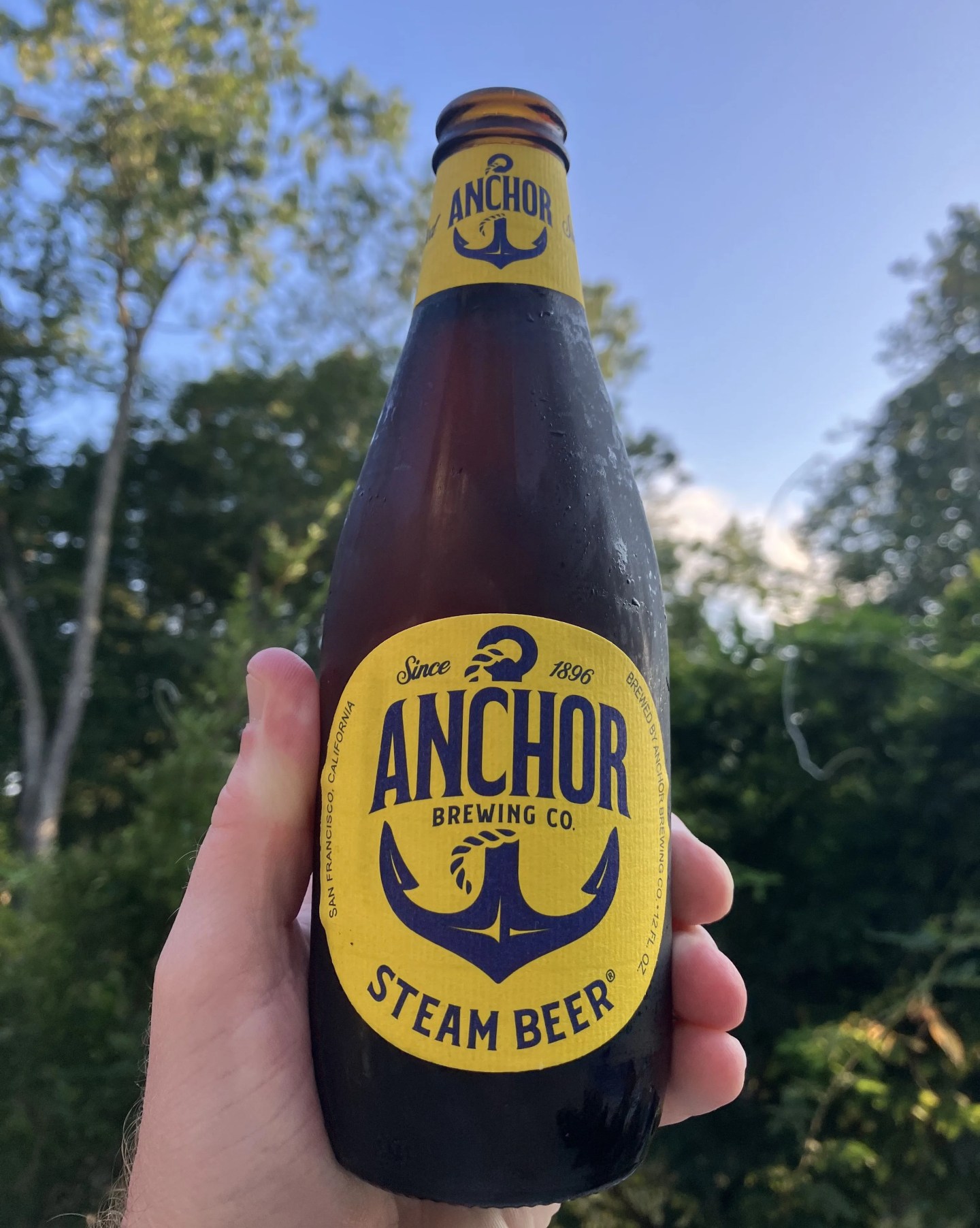 bottle of anchor steam beer