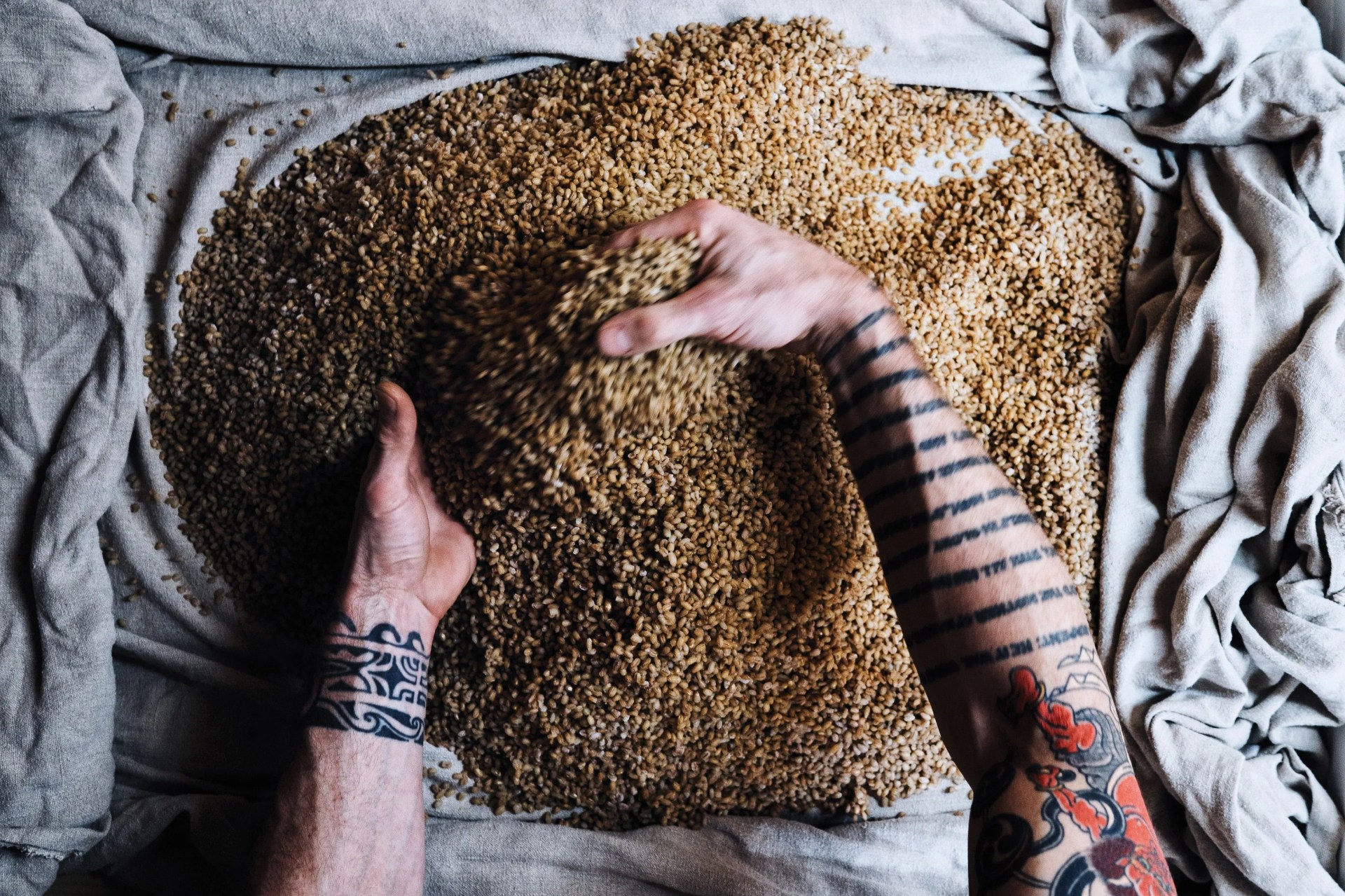 two tattoed arms reaching into a pile of grain