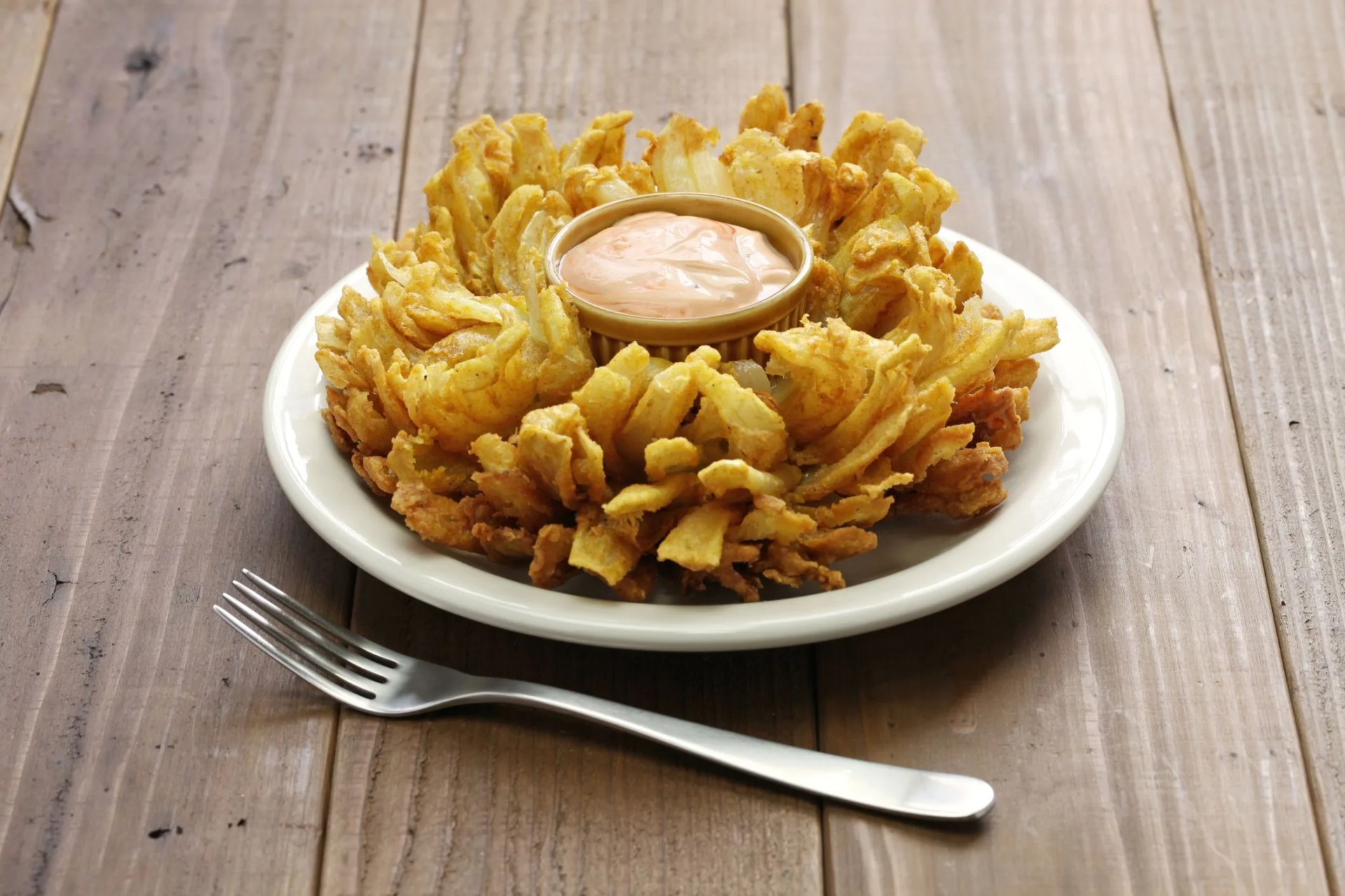 homemade blooming onion, american food