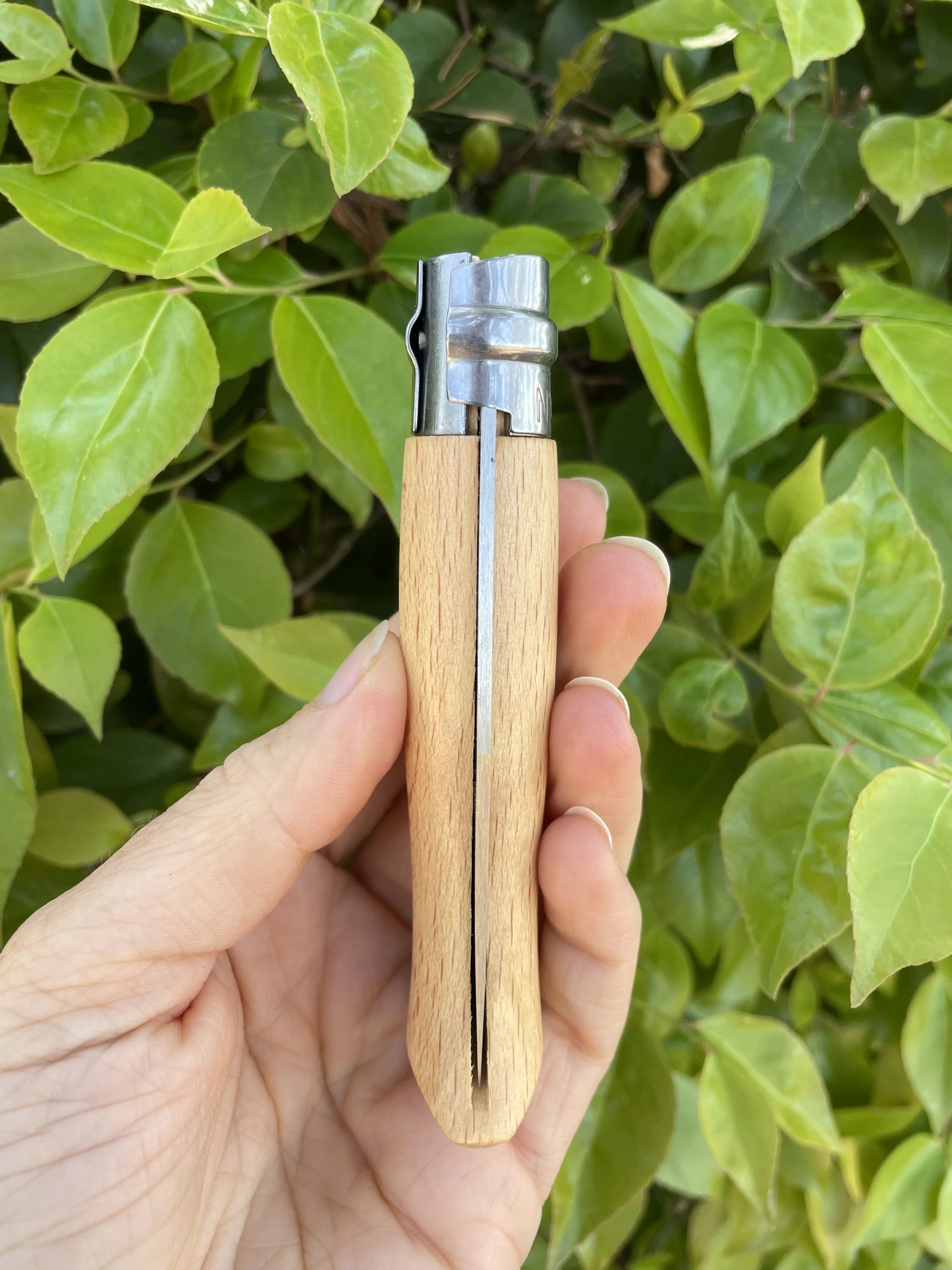 opinel no 8