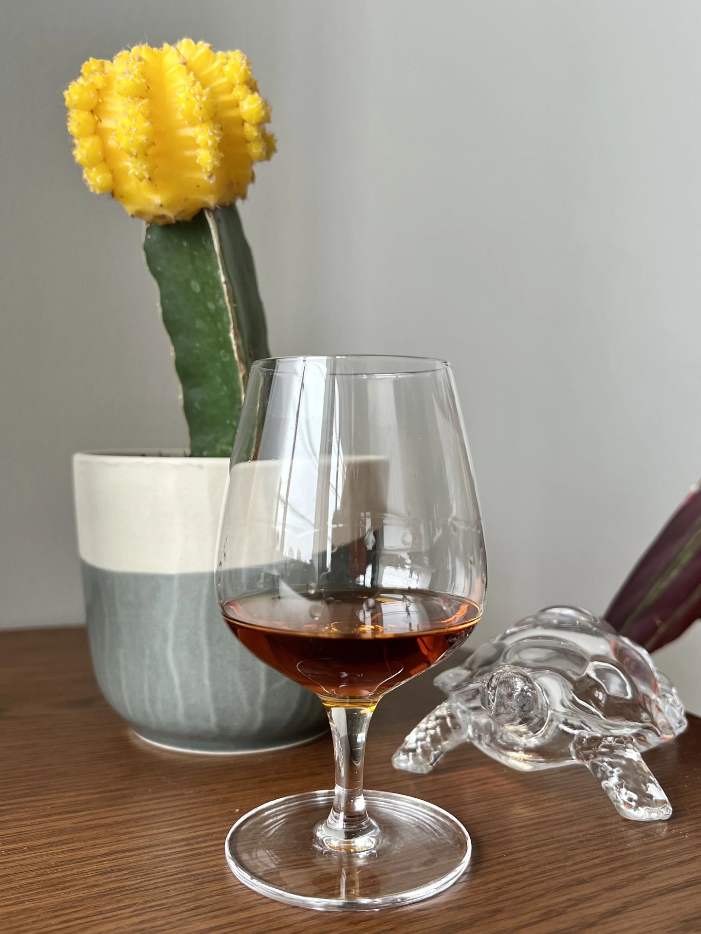glass of whiskey with cactus