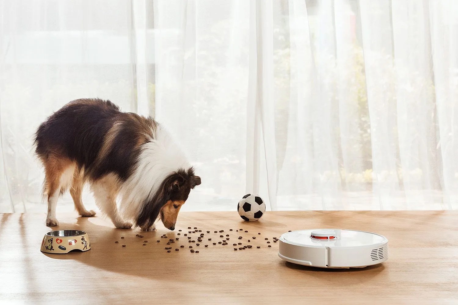 roborock s6 robot vacuum