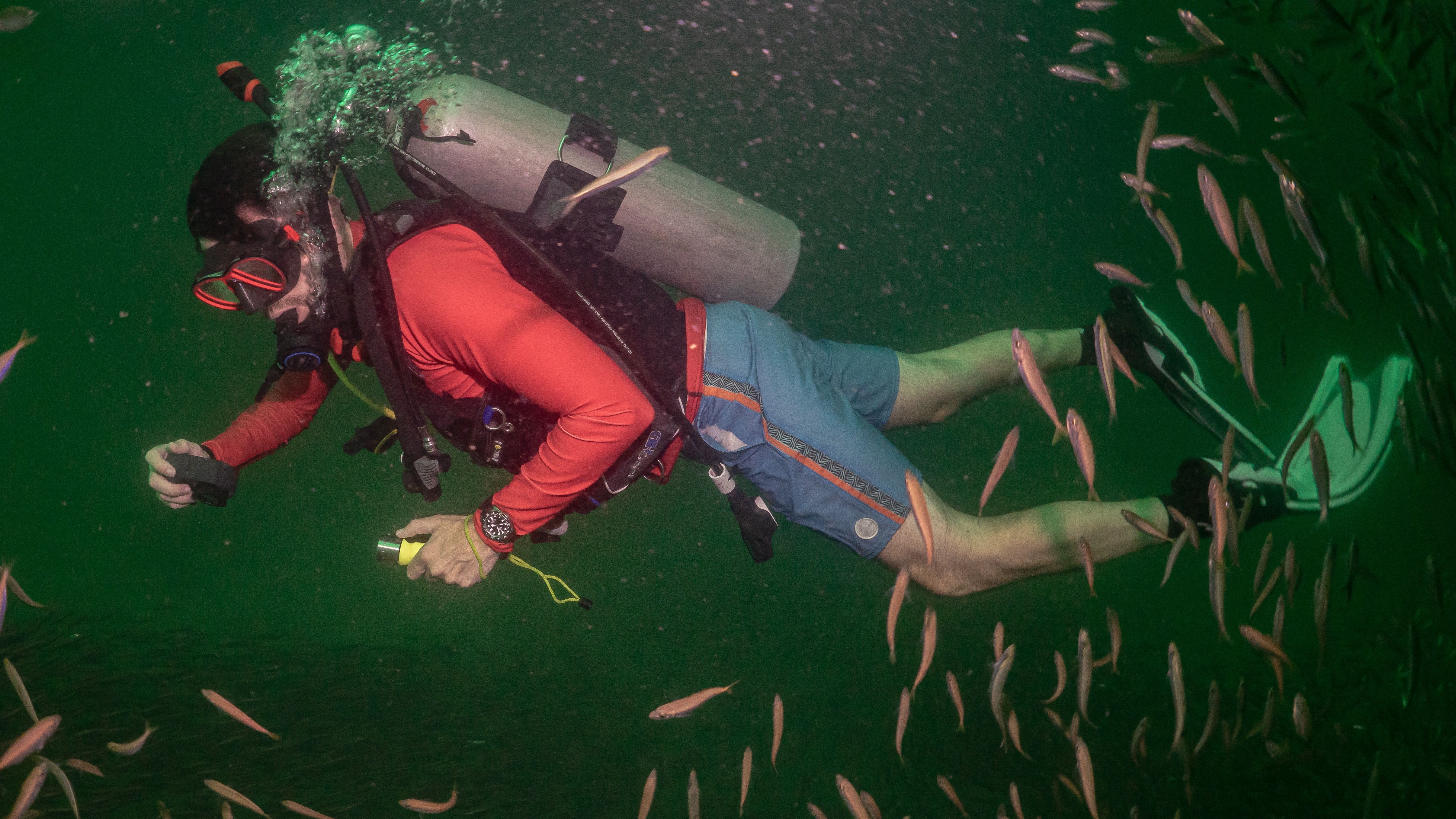 diver underwater wearing orange shirt