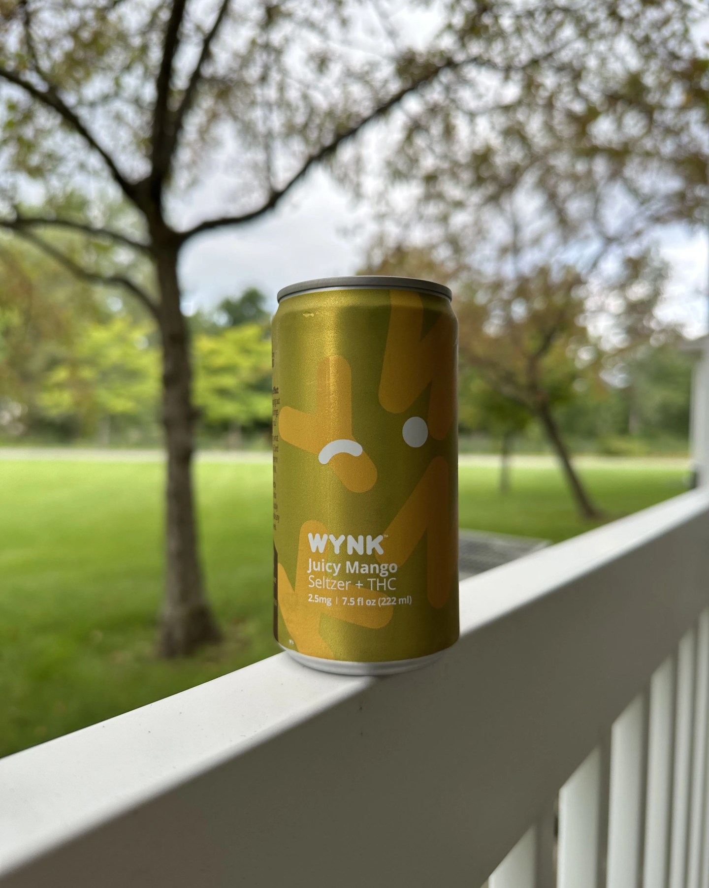 wynk thc seltzer can on railing