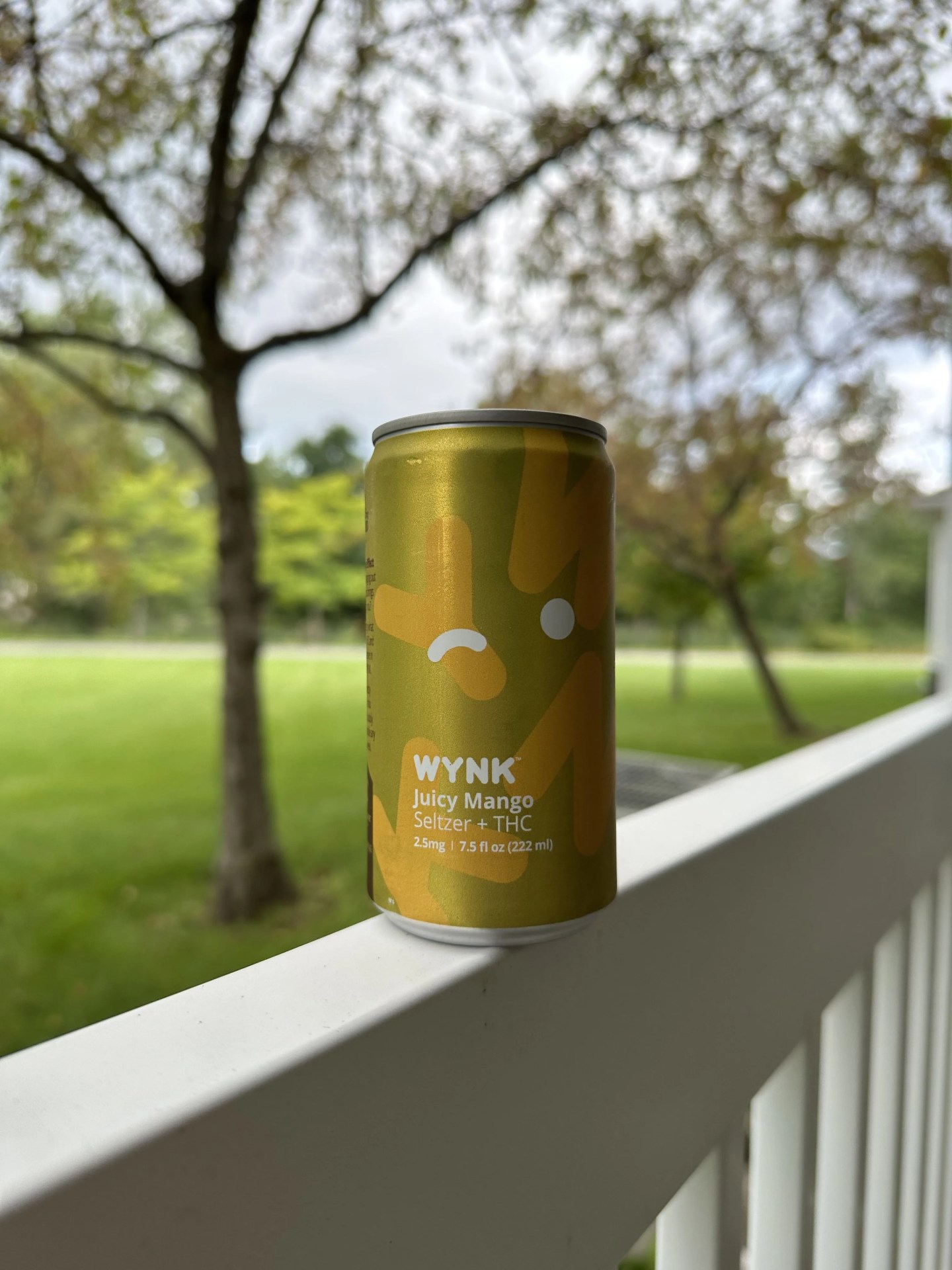 wynk thc seltzer can on railing