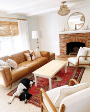 a dog in a living room