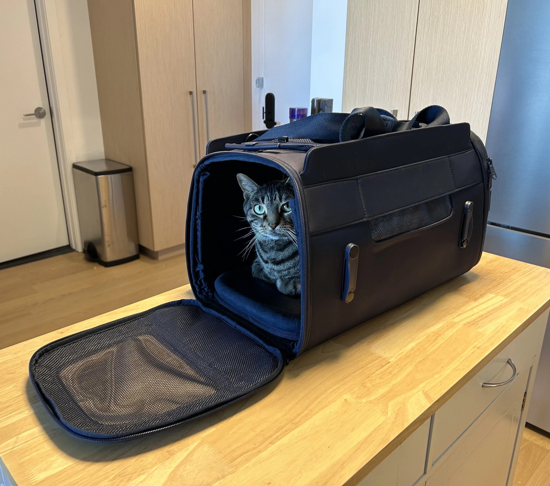 cat carrier