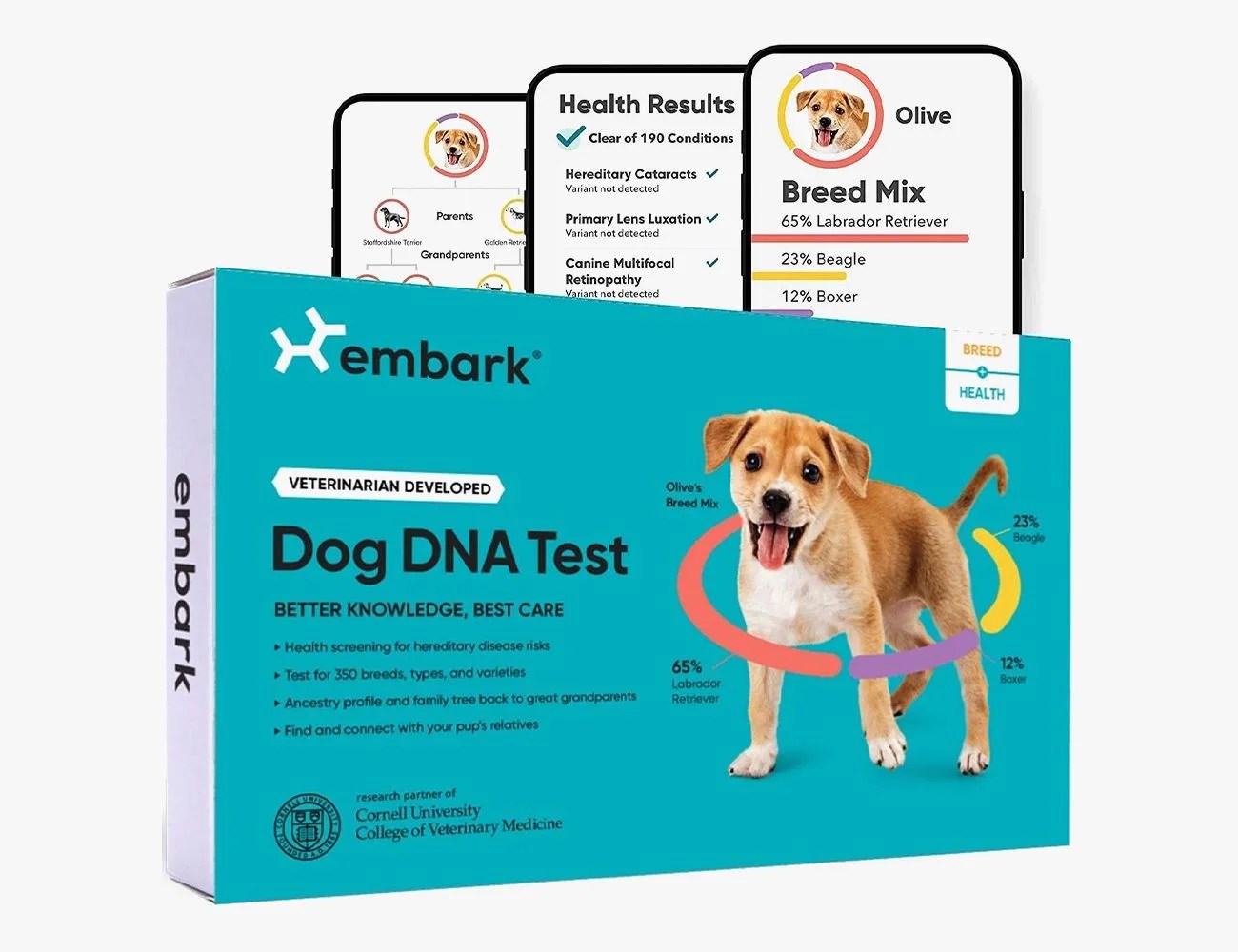 Embark Dog DNA Test