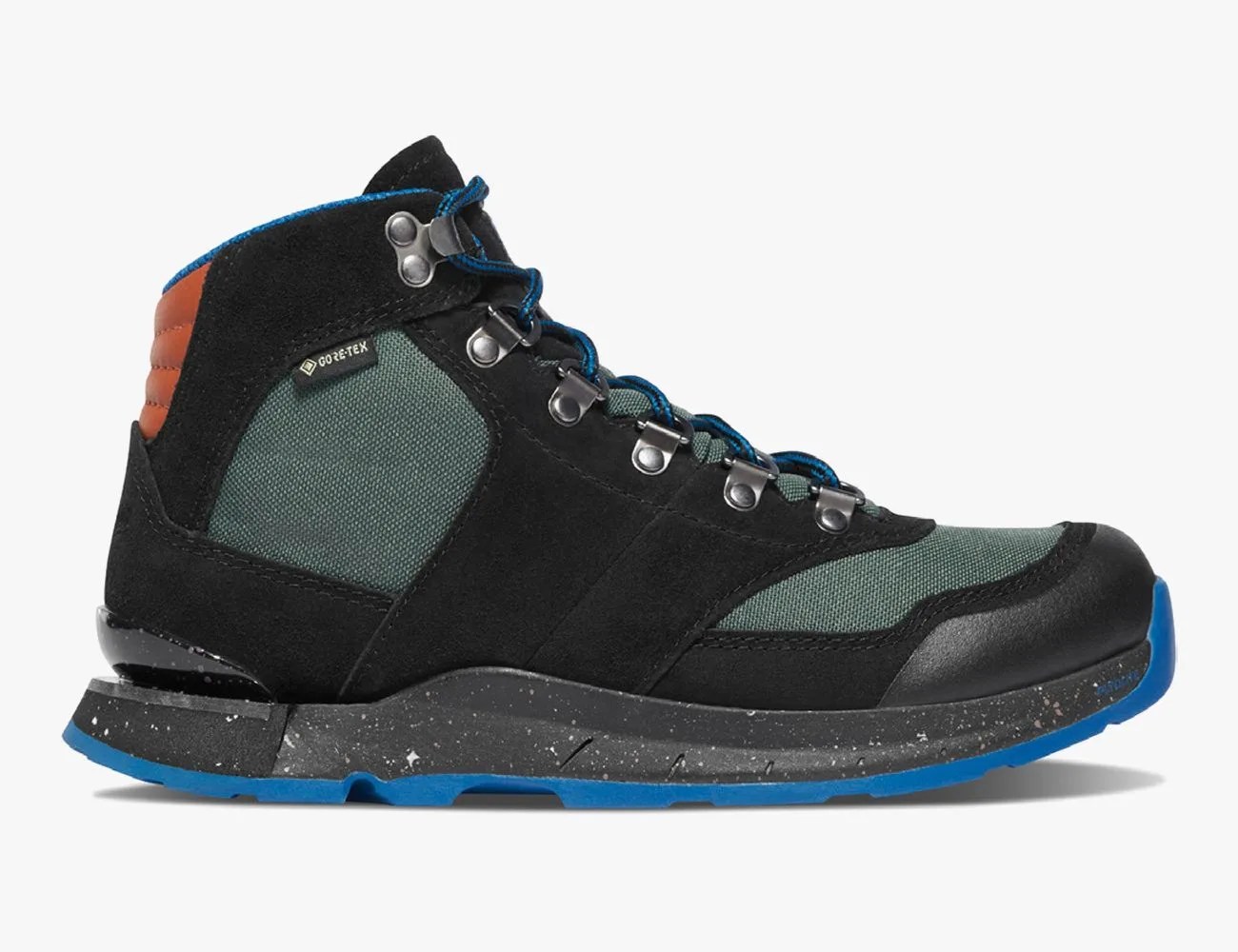 a black and blue shoe