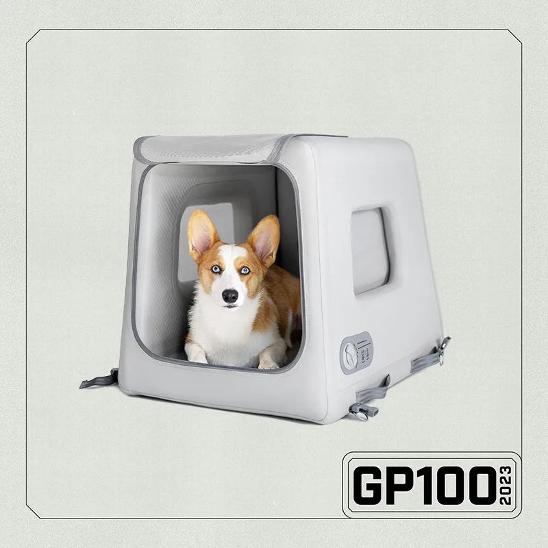 a dog sitting in a travel kennel