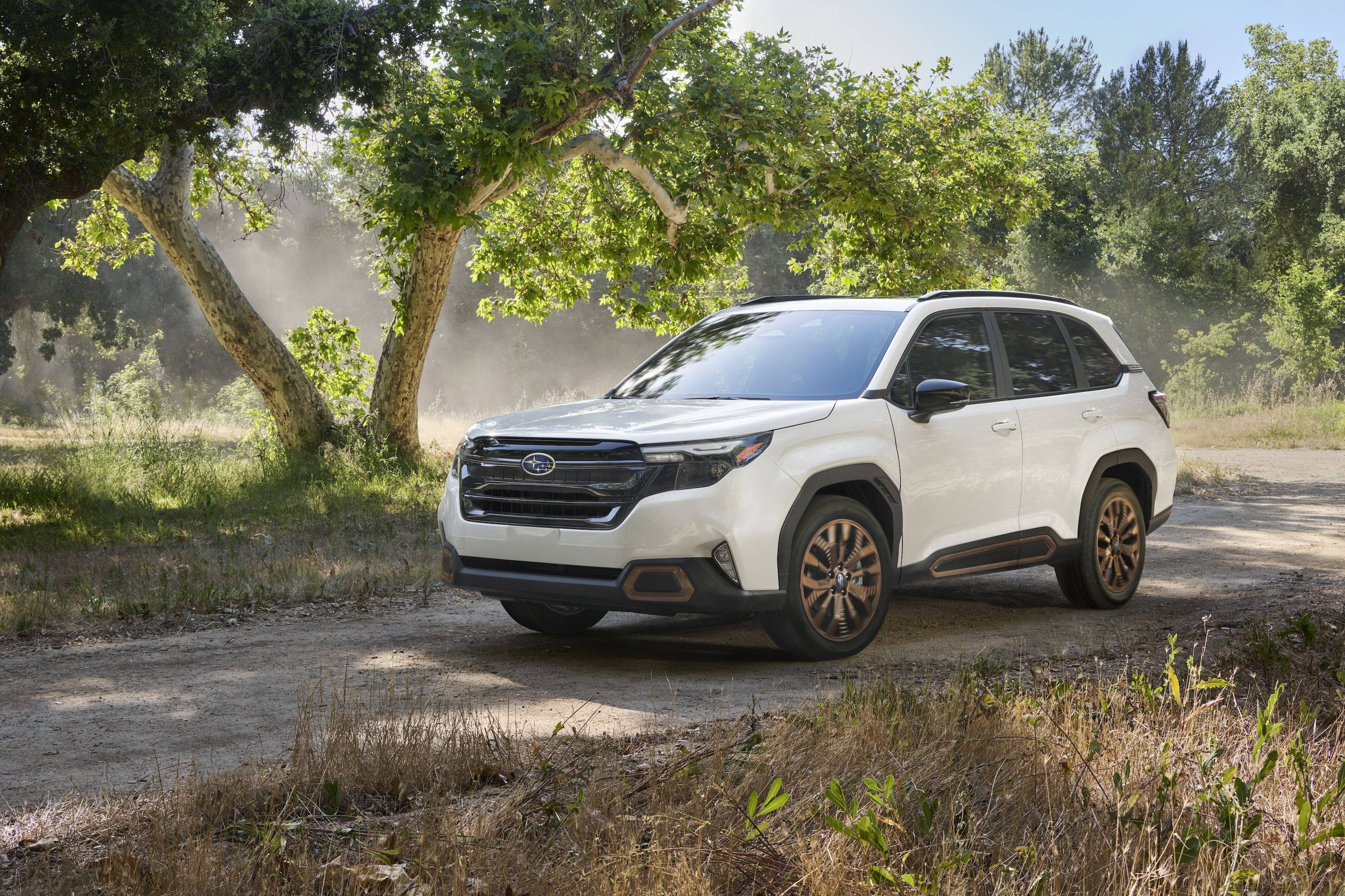 a white car parked on a dirt road with trees and grass