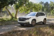 a white car parked on a dirt road with trees and grass