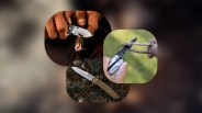 collage of knives
