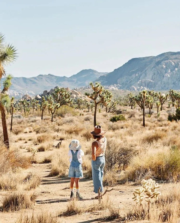 a person and a child walking in joshua tree desert