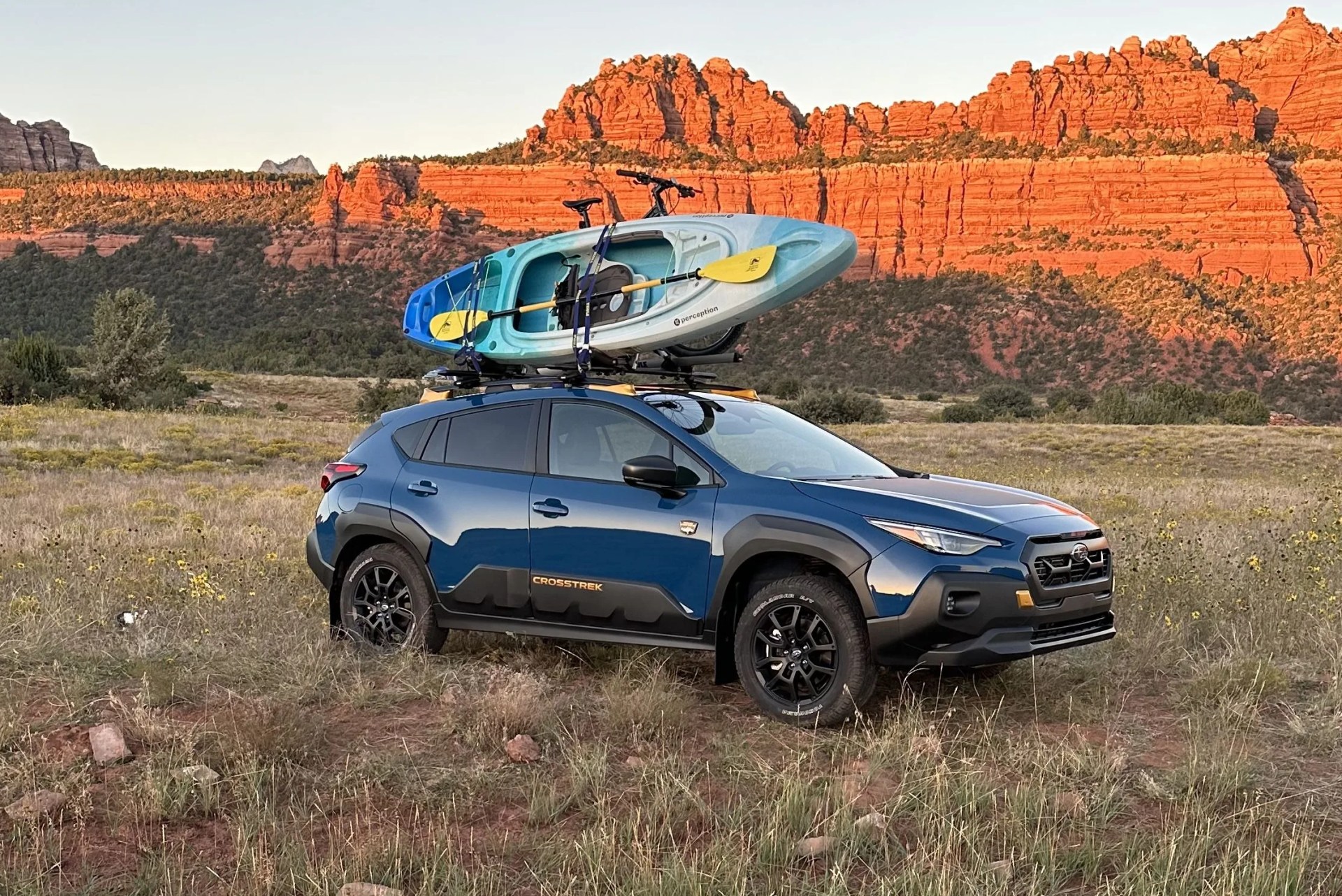 a car with a boat on top of it in a field with mountains in the background