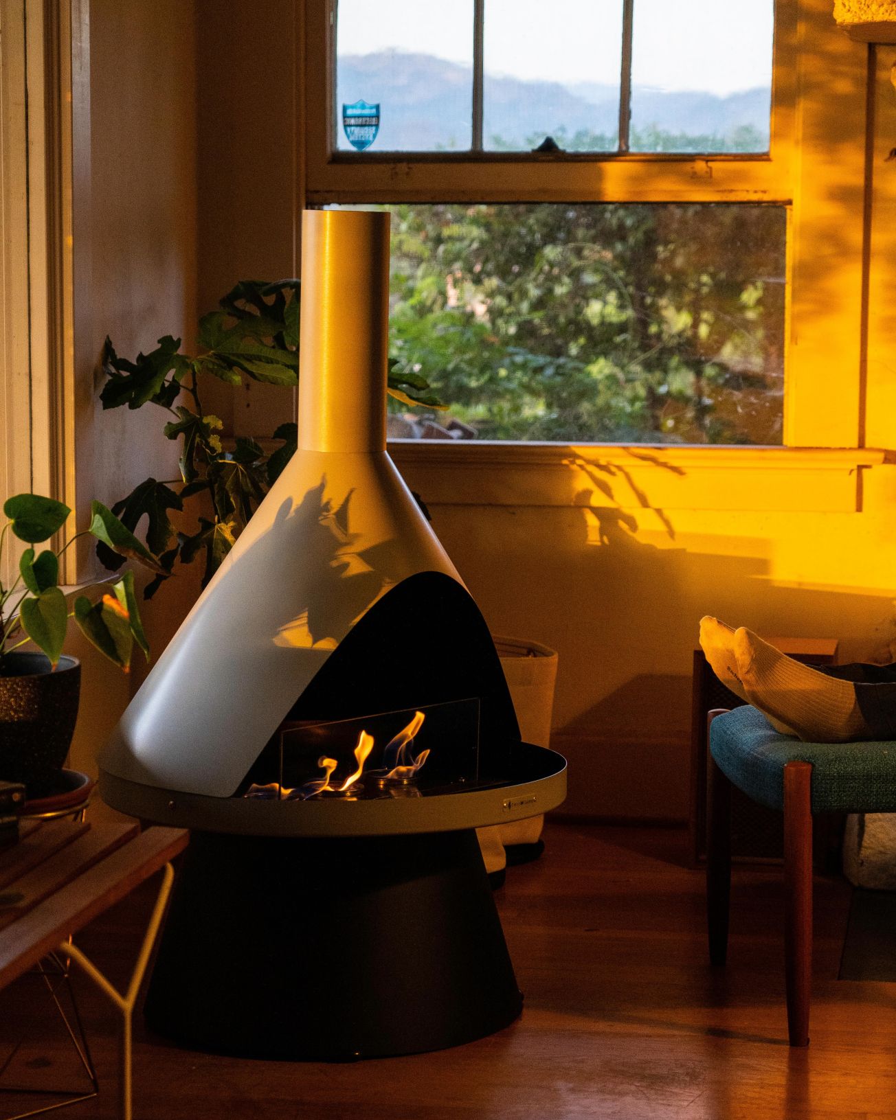 lloyd modern gel fuel fireplace in a corner of a living room surrounded by plants and a person sitting in a chair