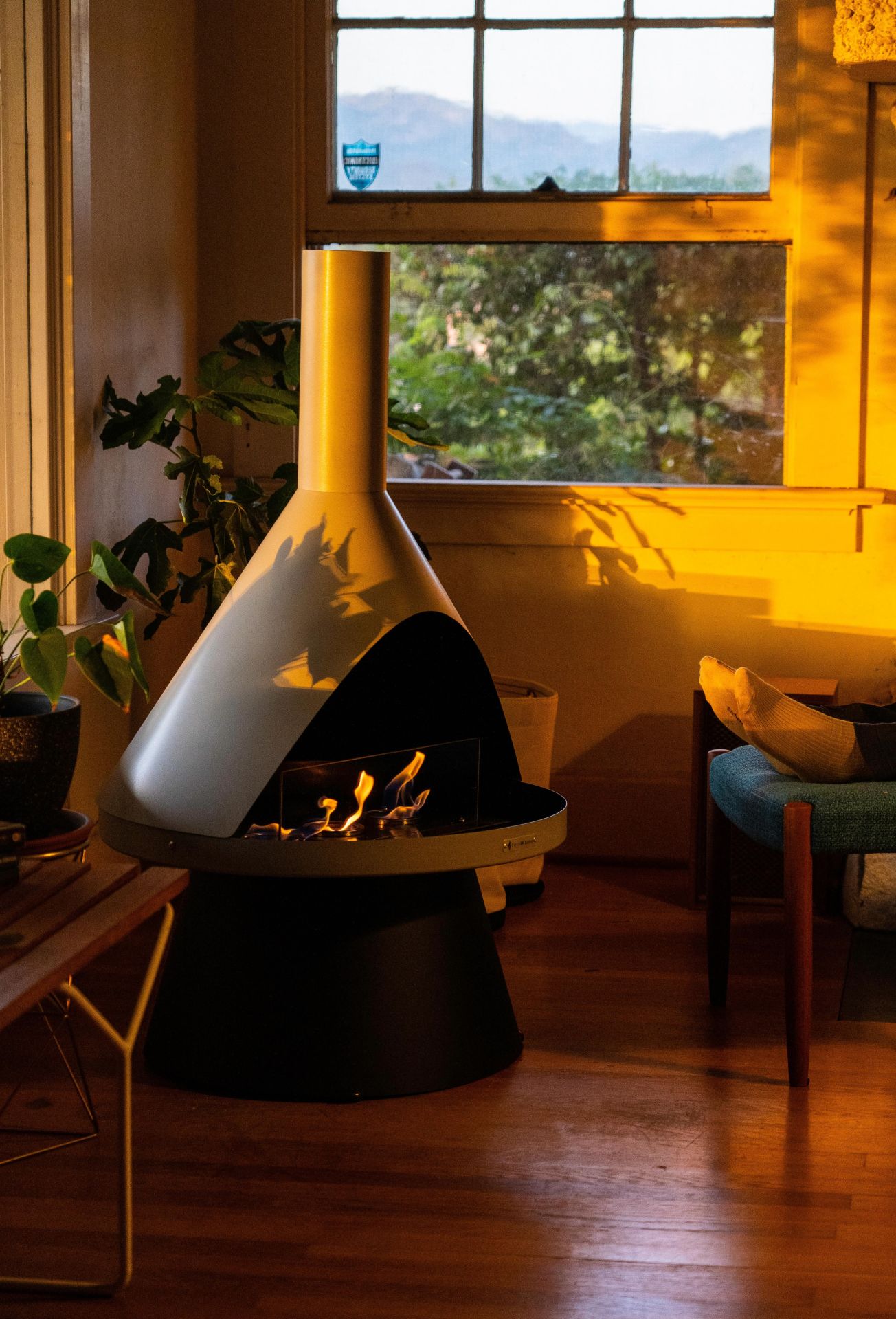 lloyd modern gel fuel fireplace in a corner of a living room surrounded by plants and a person sitting in a chair