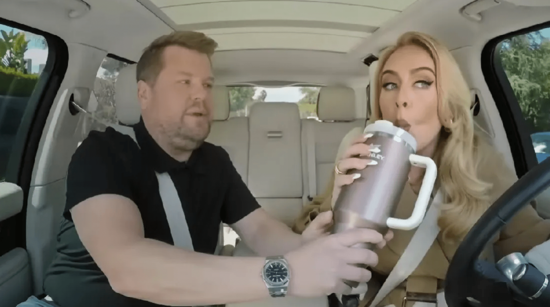 adele stanley quencher