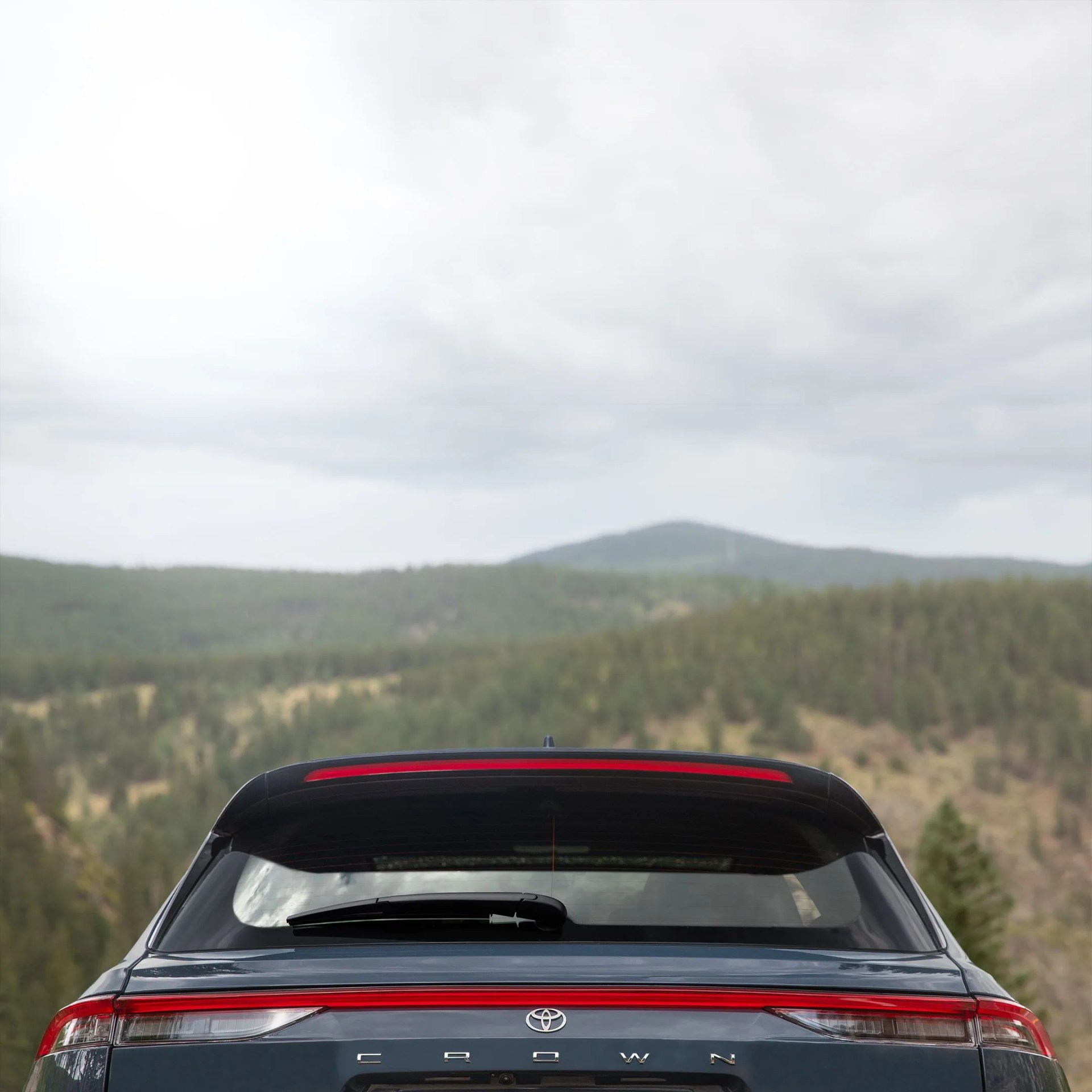a car parked in front of a forest