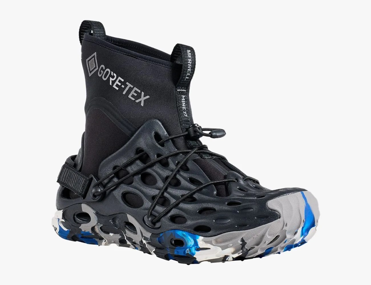 a black and blue shoe