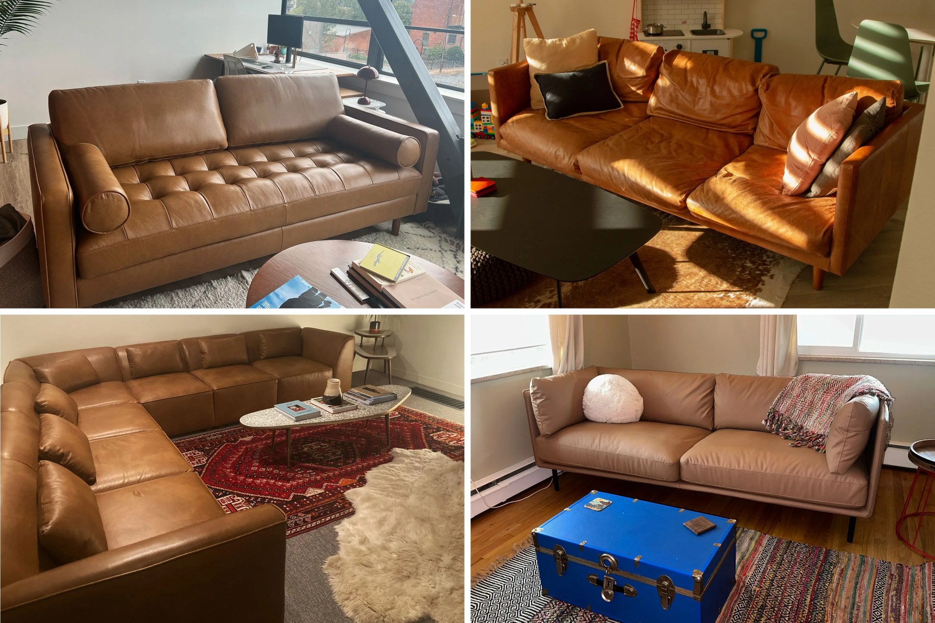 collage of 4 different couches in living rooms