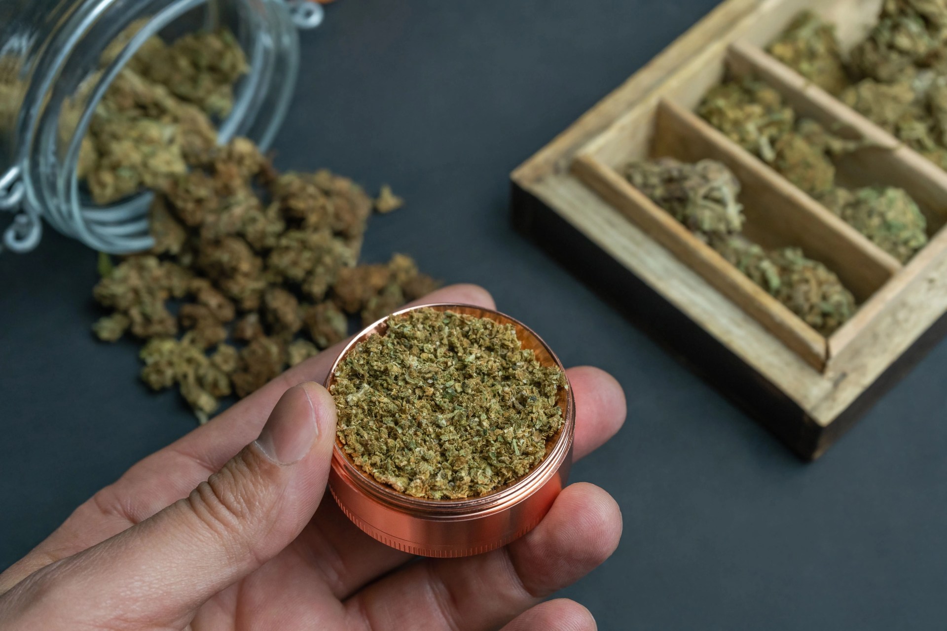 a hand holding a small pot of marijuana