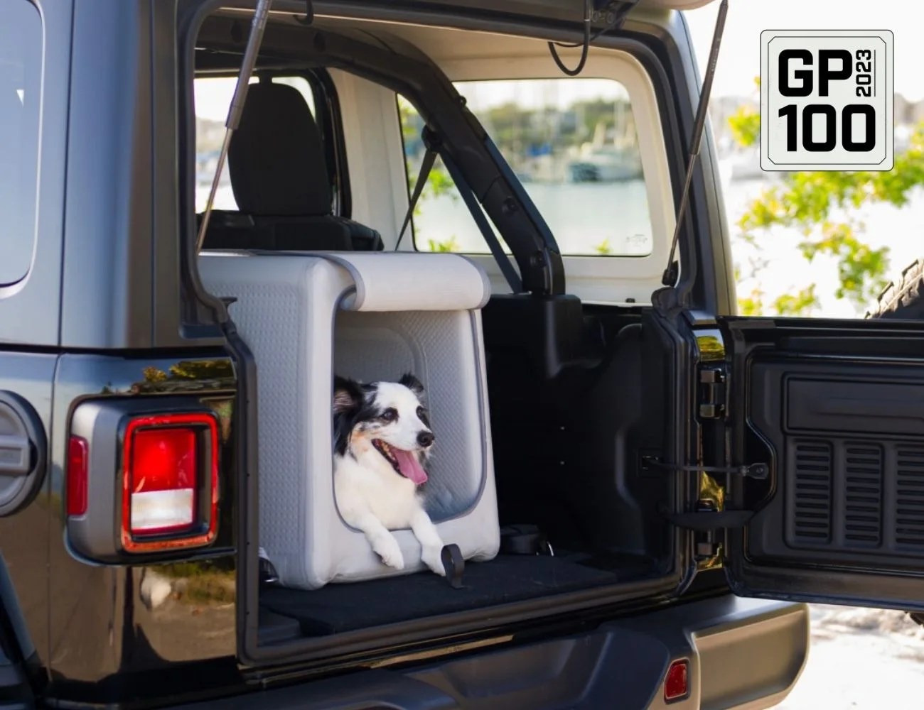 a dog in the back of a truck