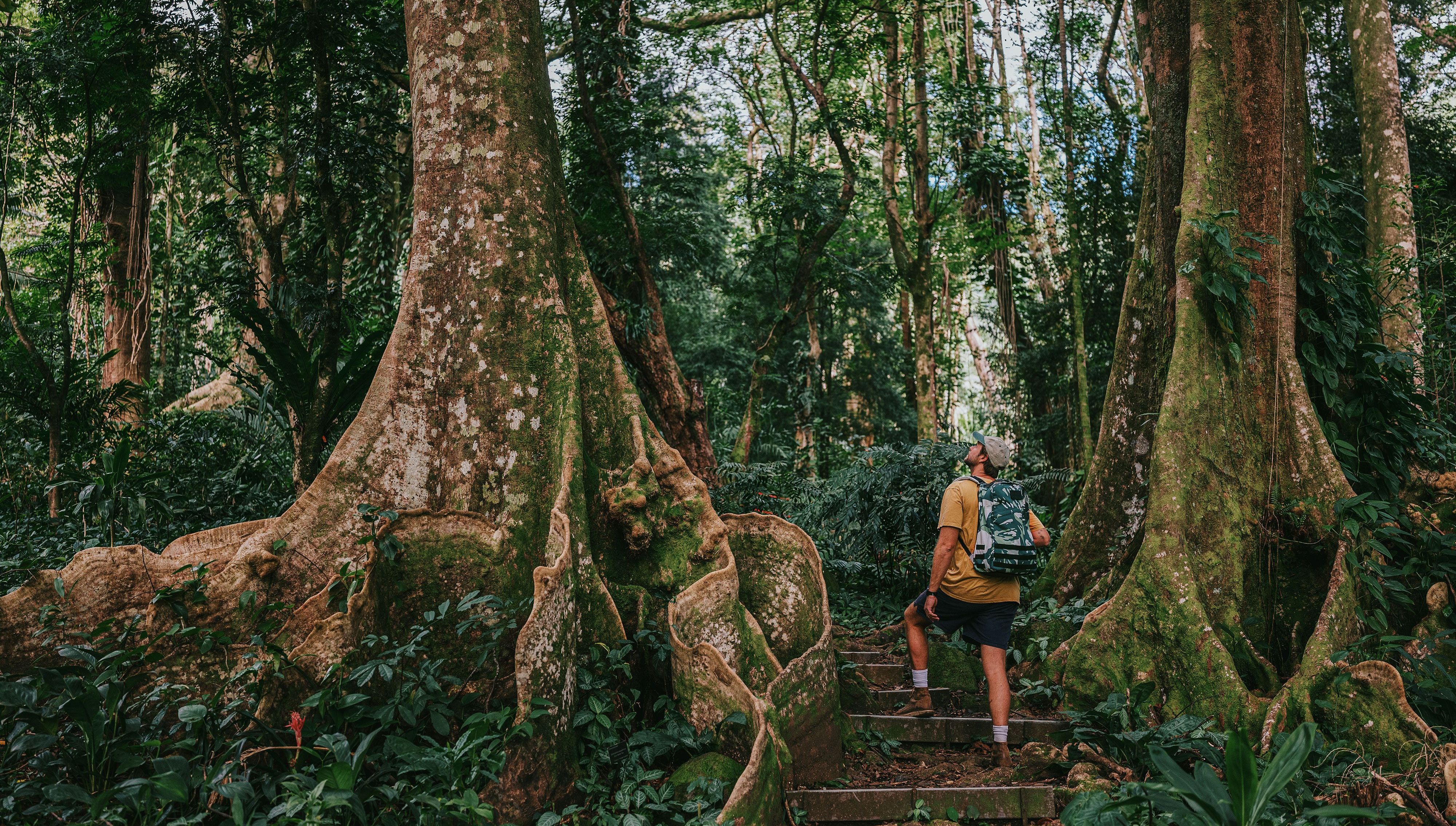 man walking through forest wearing goruck bag