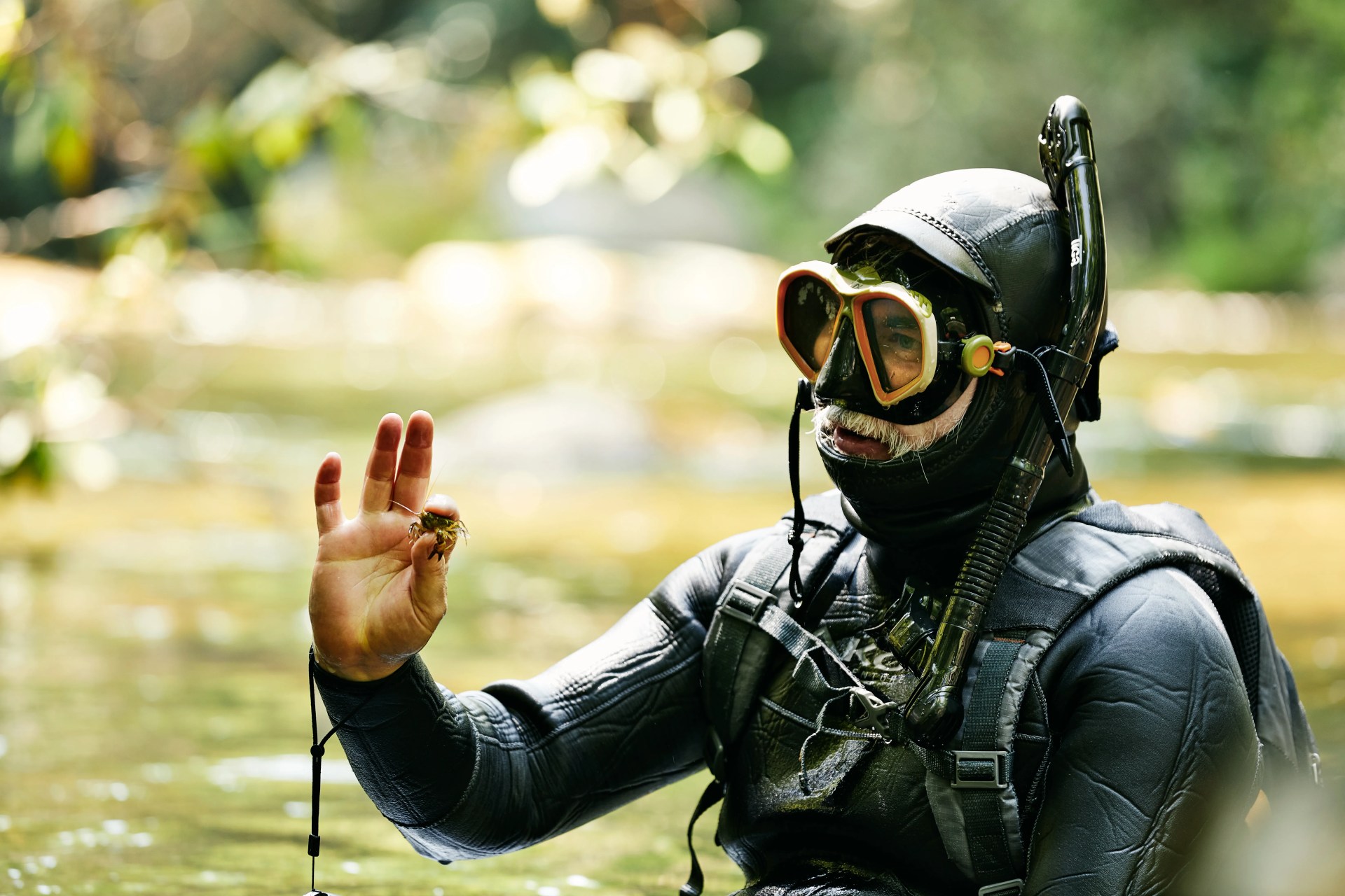 man wearing snorkel gear emerged from water with a shrimp in hand