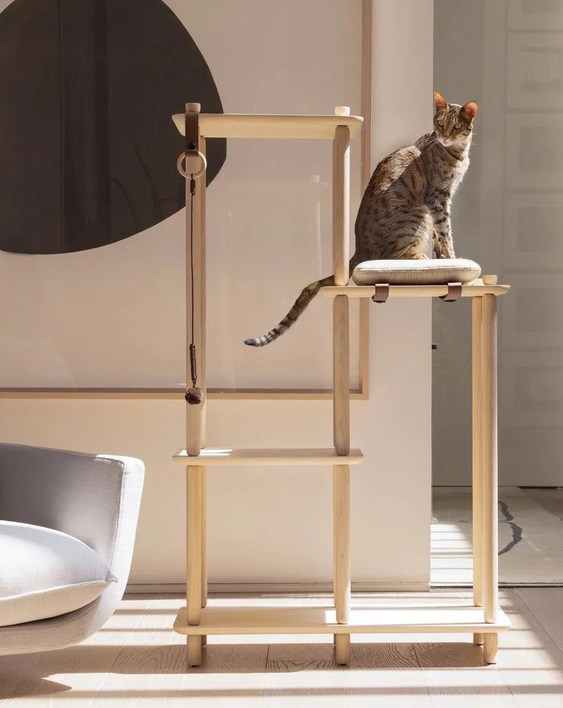a cat sitting on a papuk neighbourhood cat tree