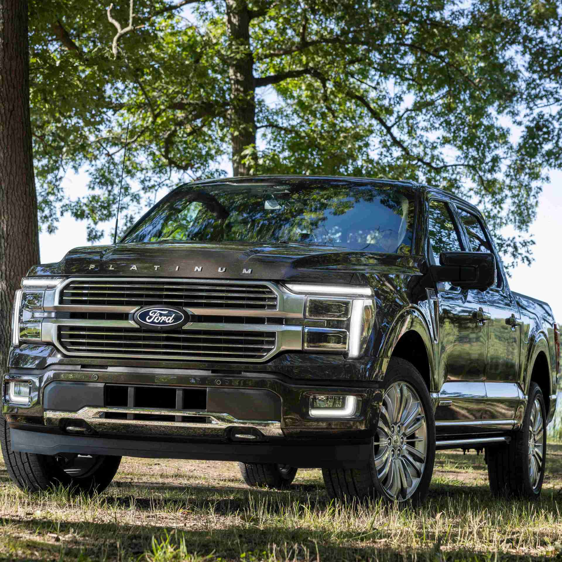 ford f 150 platinum