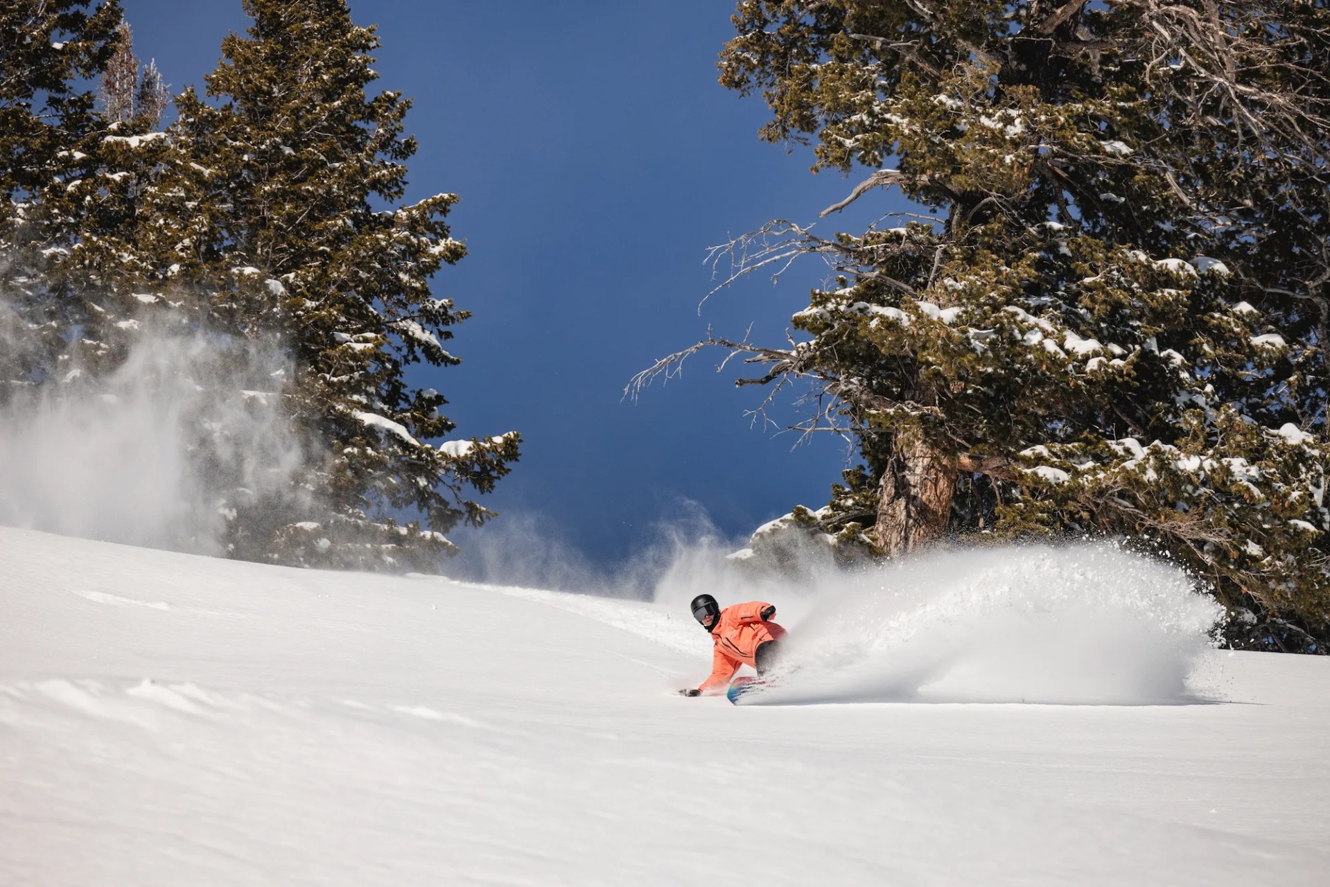 powder mountain snowboarder