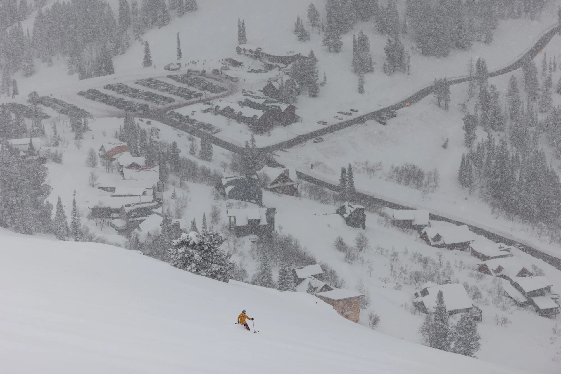 powder mountain skier