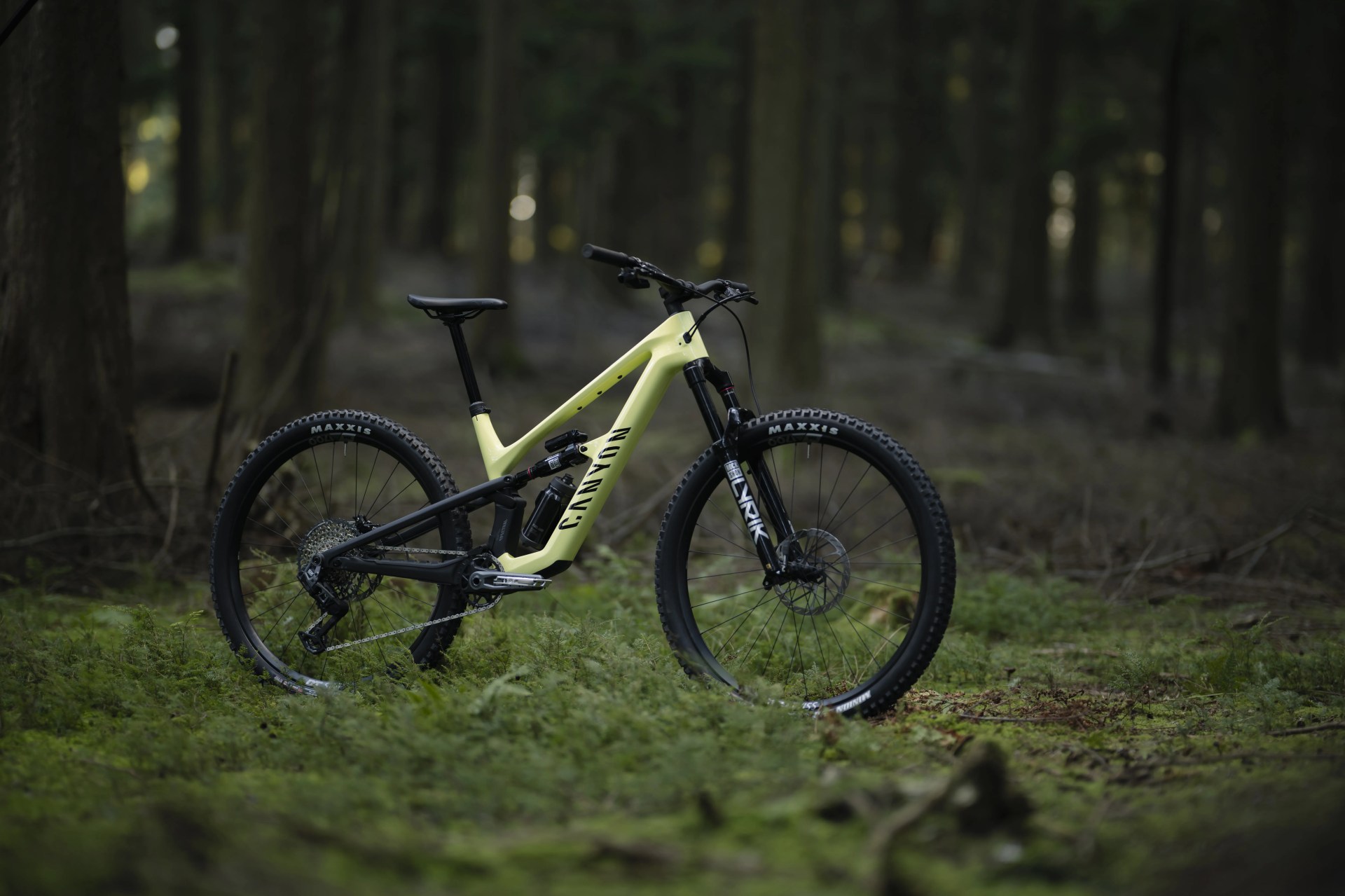 Canyon Bicycle in forest