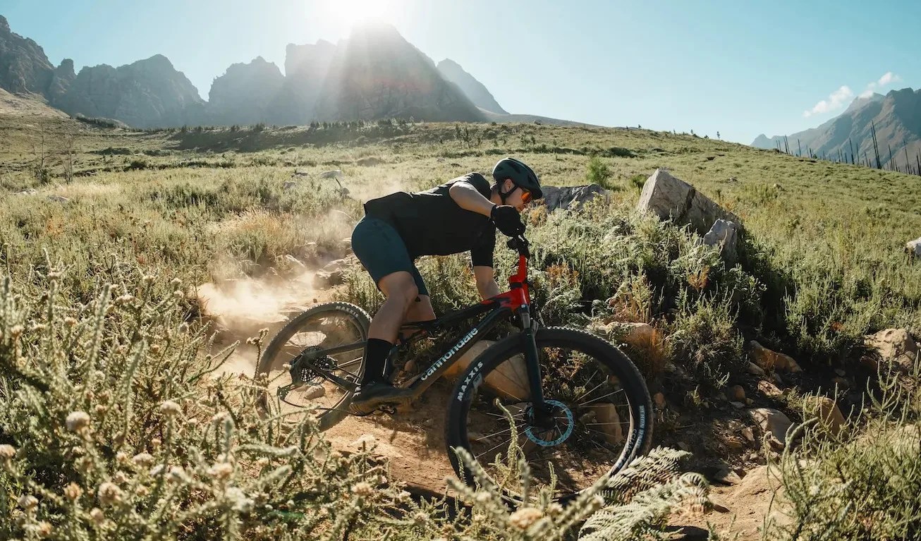 cannondale scalpel mountain bike