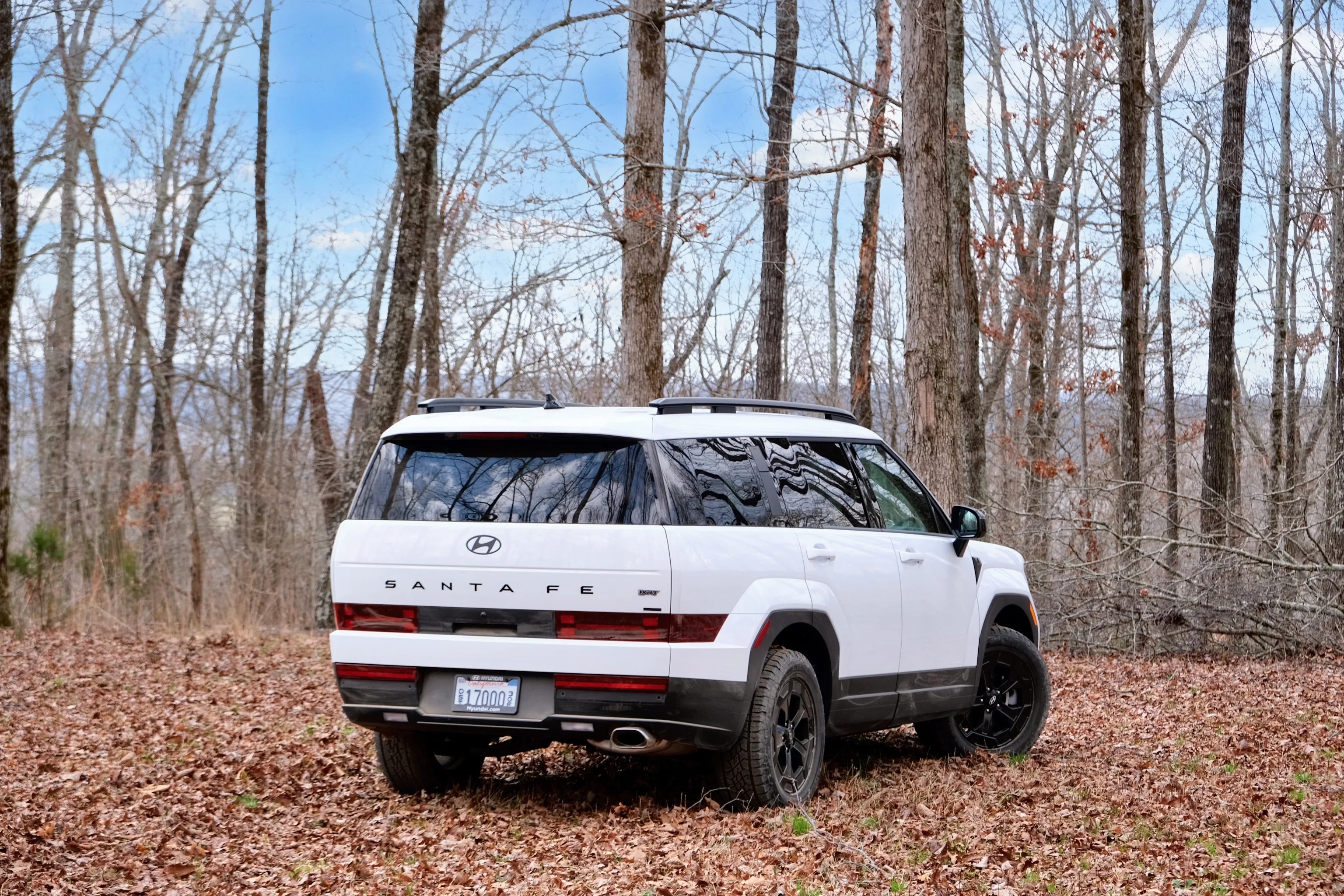 The Hyundai Santa Fe seen from rear in the woods