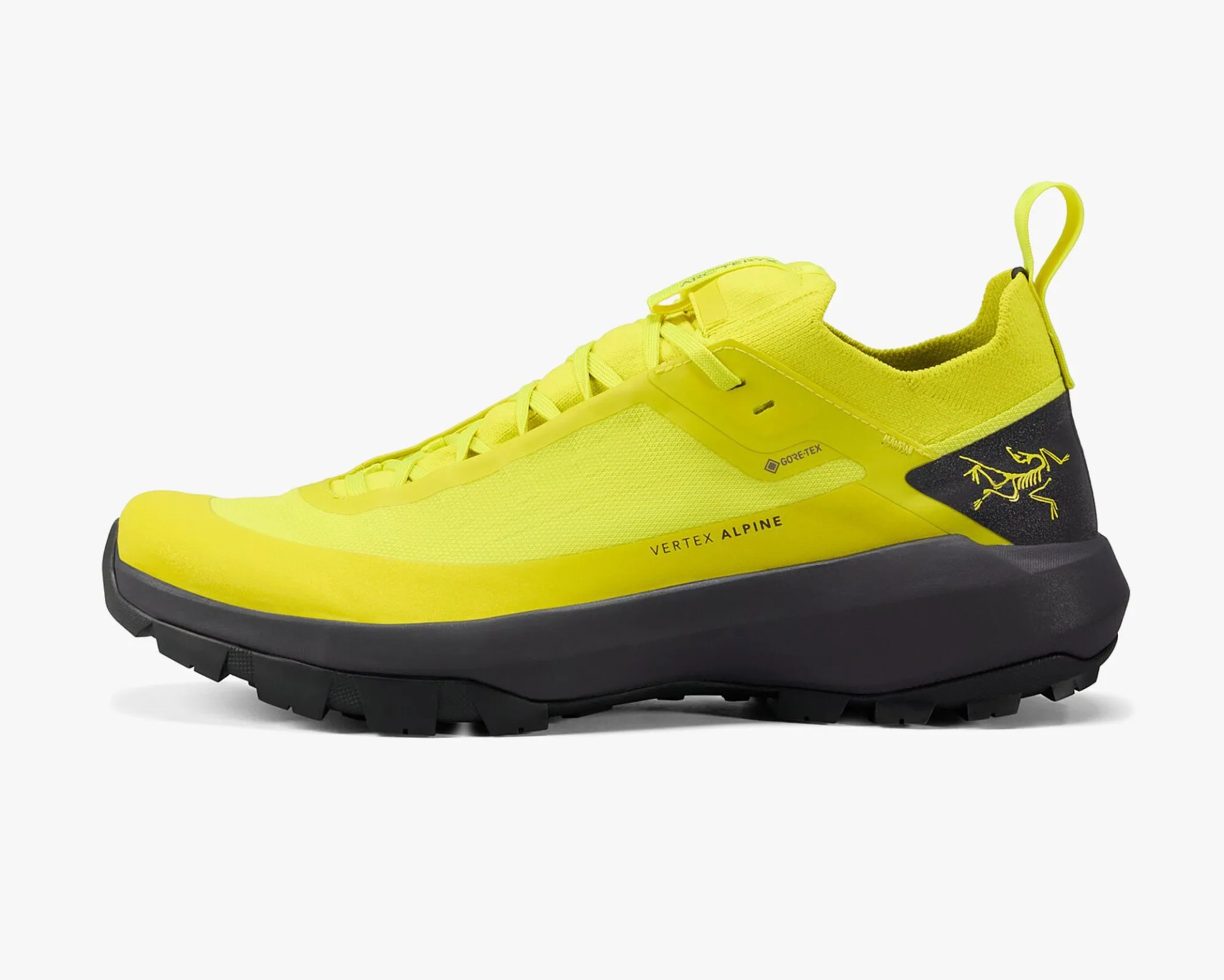 Arc'teryx VERTEX ALPINE GTX SHOE MEN'S